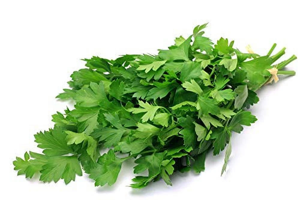 Italian Giant Parsley, 200 Heirloom Seeds Per Packet, Non GMO Seeds