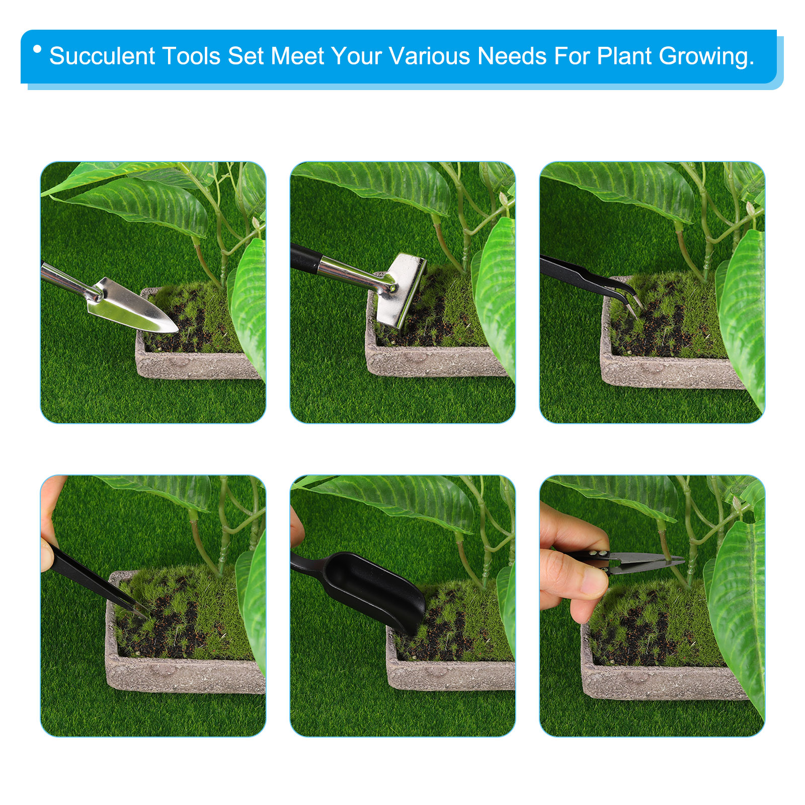 Uxcell Transplanting Tools Set, Succulent Tools Set Mini Transplanting Garden Tools Kit, Black 12 Pcs