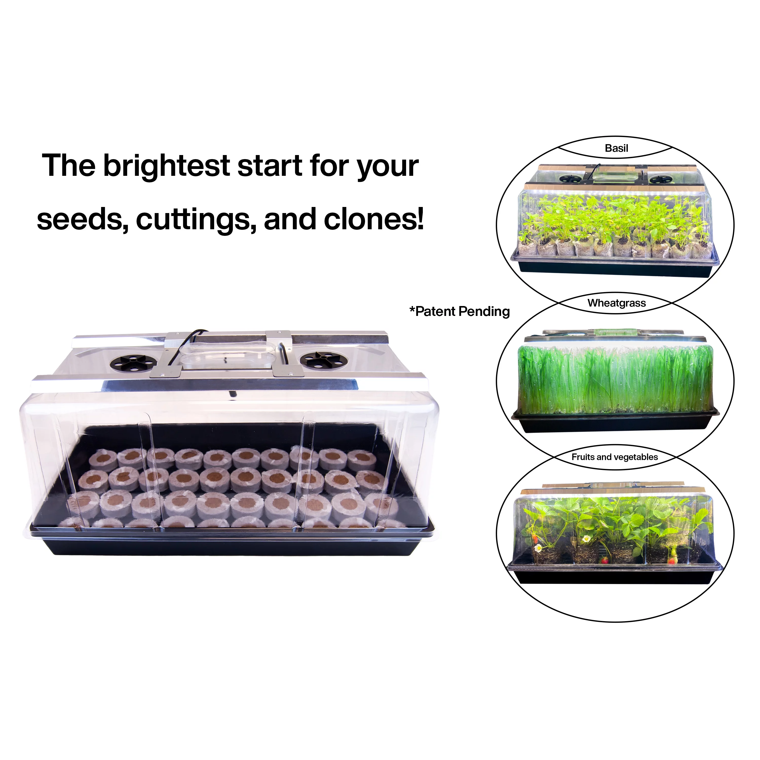Viagrow Seedling Station Deluxe Kit with LED Grow Light, Propagation Dome, 4X Durable Seedling Tray, 50 Coir Seedling Starters & Heat mat