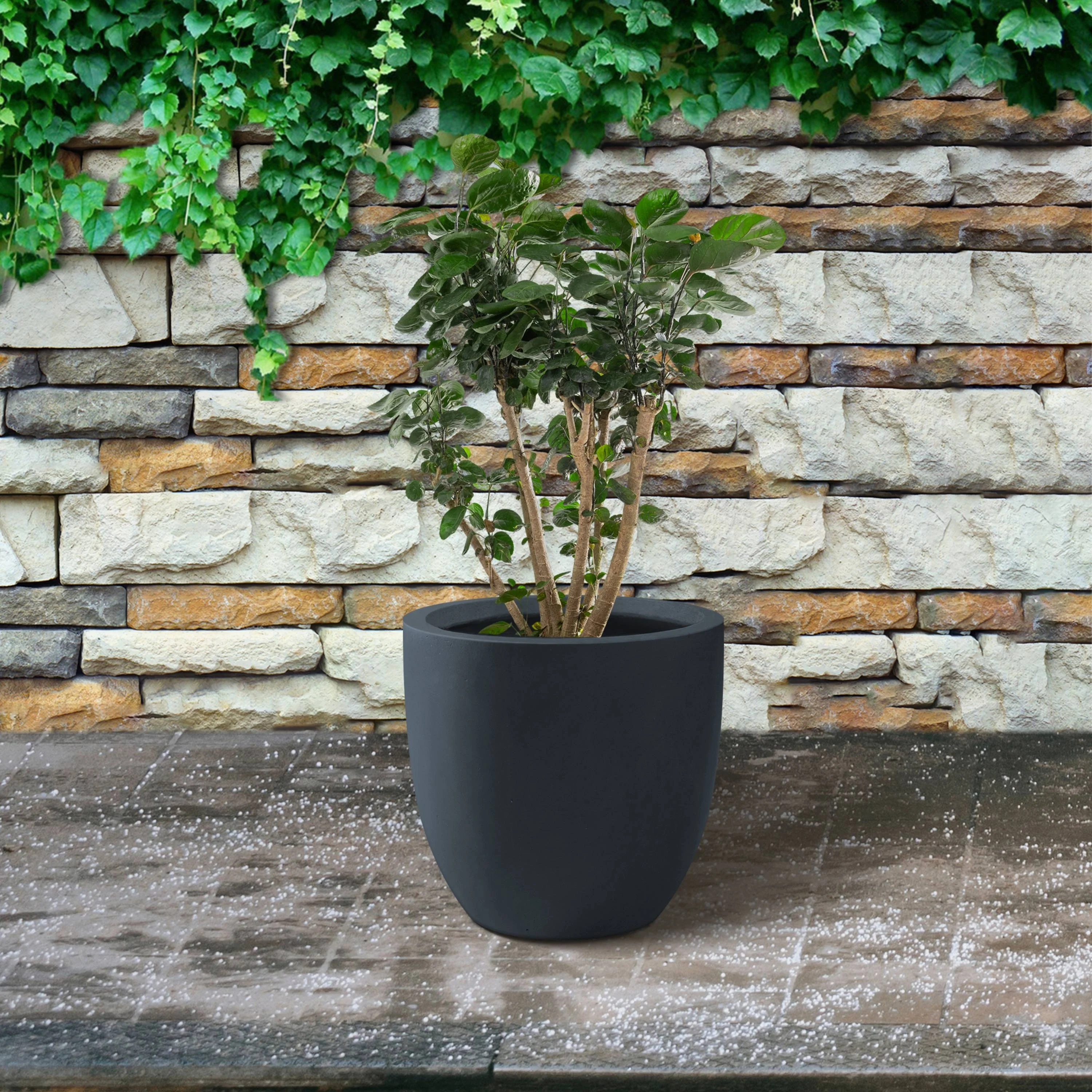 Kante  Round Lightweight Concrete and Fiberglass Indoor Outdoor Weather Resistant Planter with Drainage Hole Charcoal