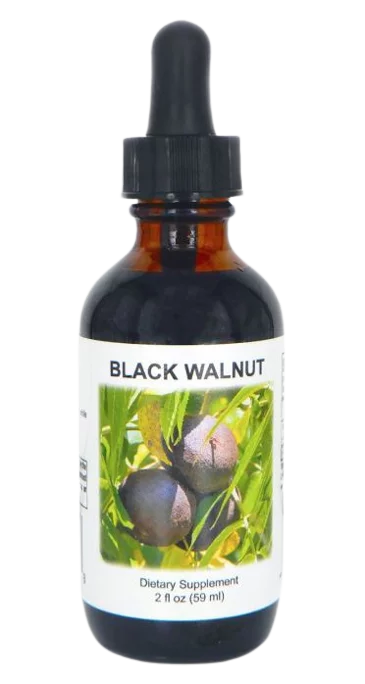 Black Walnut Tincture - 2 fl. oz.