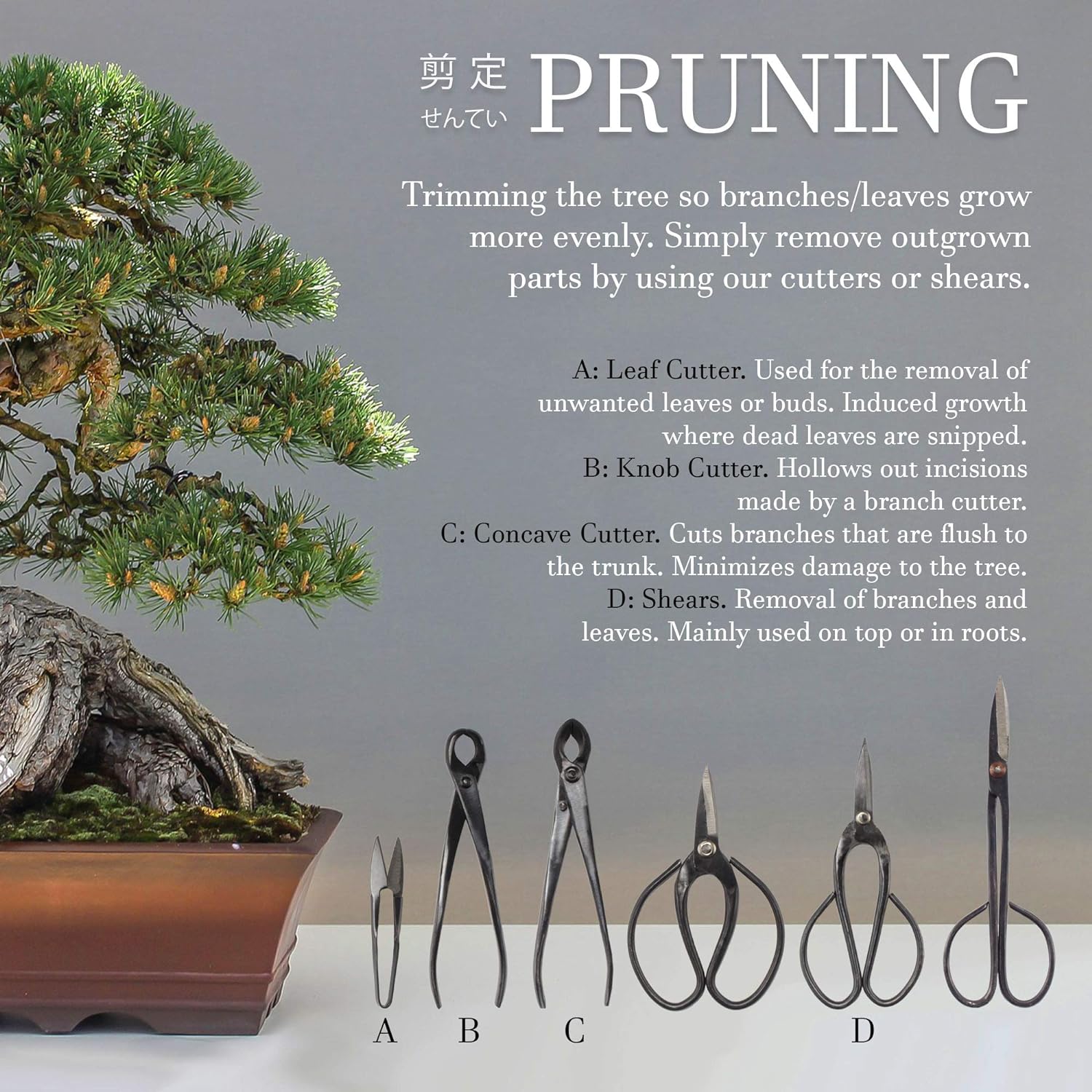 10 Piece Bonsai Advanced Care Set, Shears, Concave Cutter, Cutter, Wire Cutter, Bonsai Trimming, Beginner Friendly - 1 Set