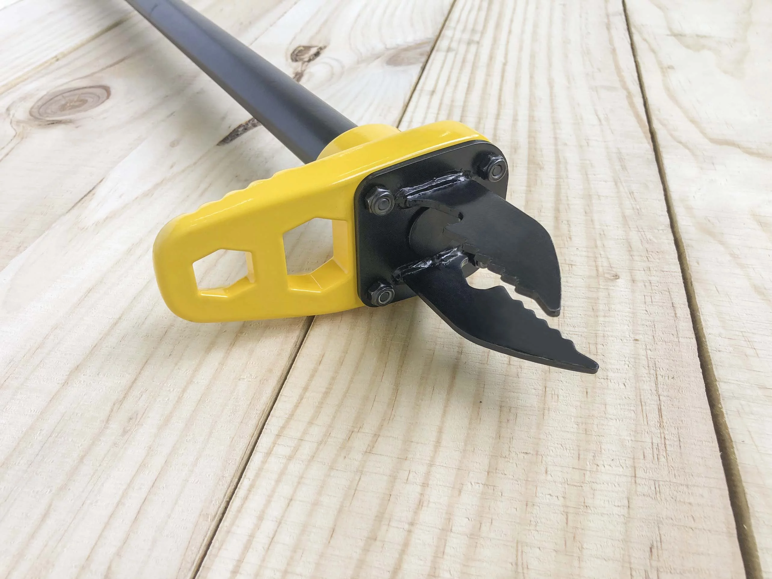 Expert Gardener   43