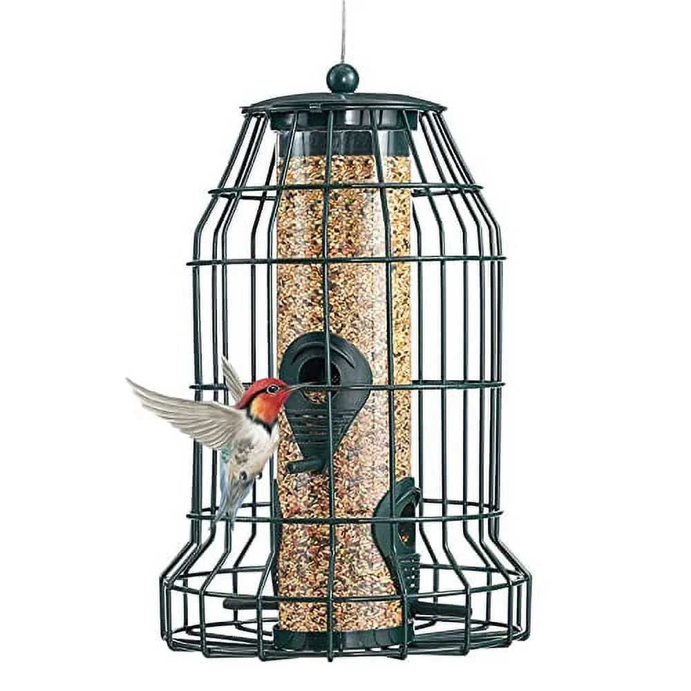 Caged Bird Feeders Metal - Squirrel-Proof Wild Bird Feeders, Clear Tube Feeders Hanging Outside Starling Proof,4 Feed Ports for Garden Backyard