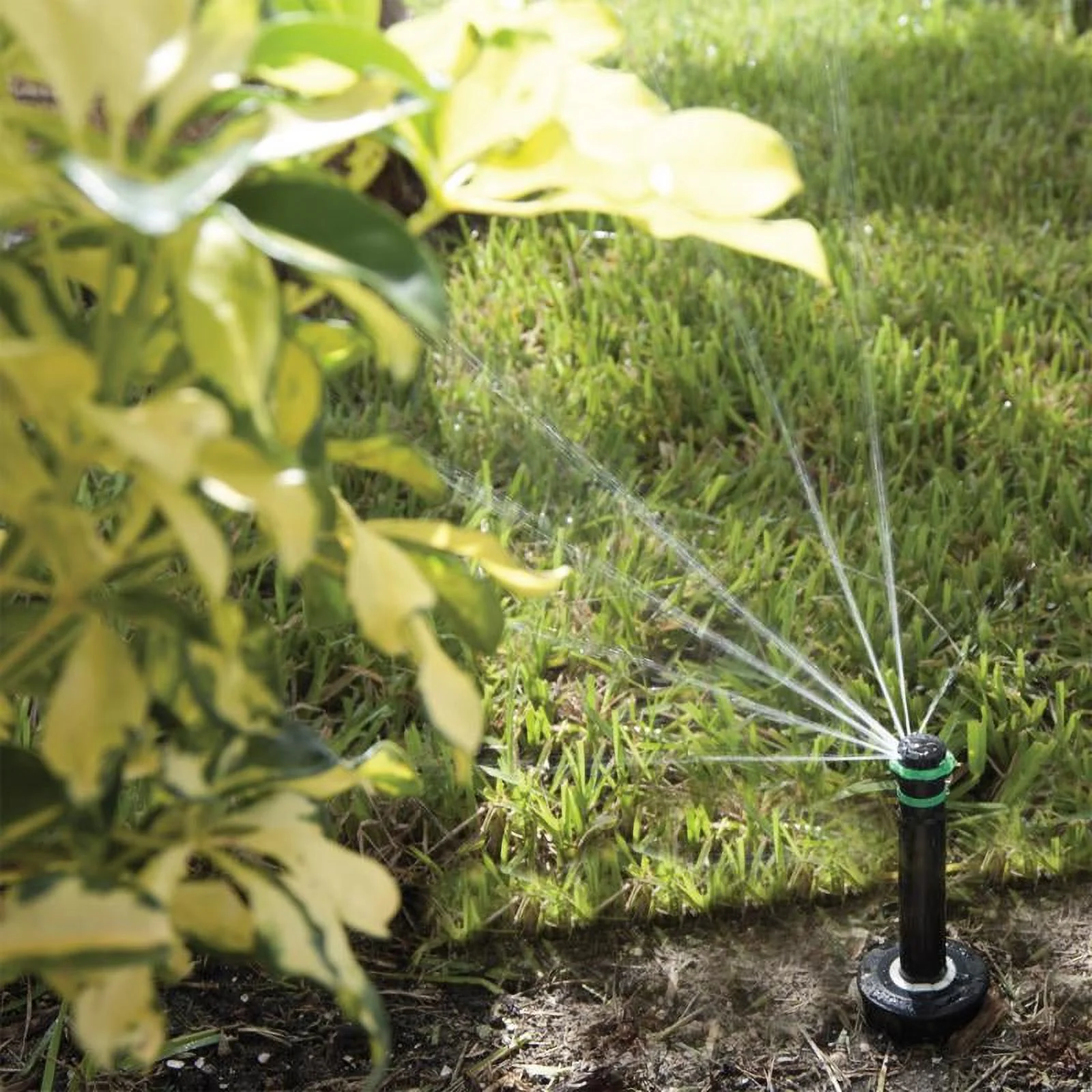 K-Rain 30651 Pro-S Adjustable Pop-Up Spray Head, 4