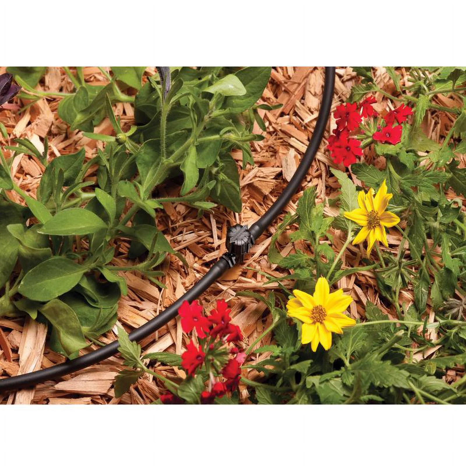 Rain Bird BVAL25-2S Drip Irrigation Valve Connector, 1/4