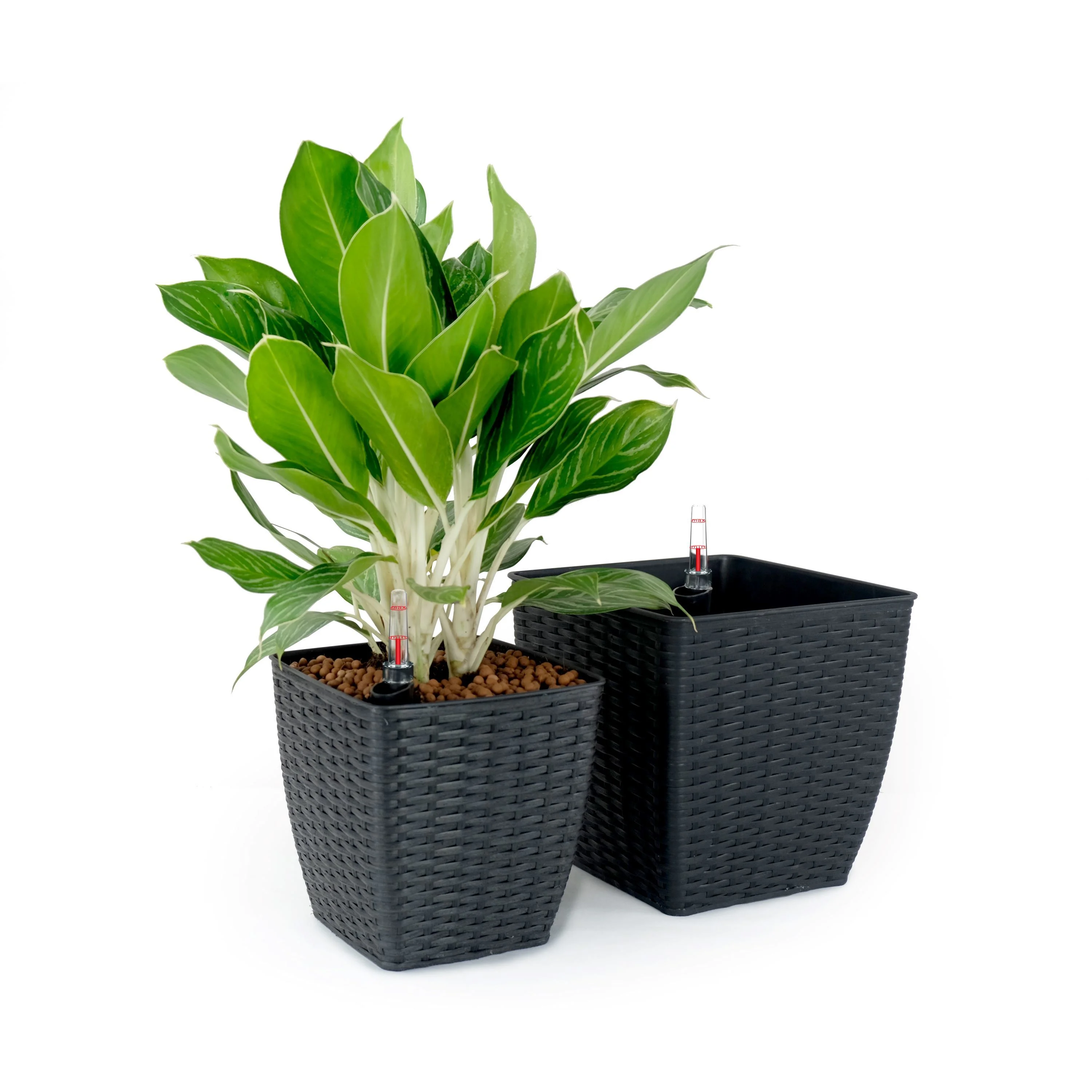 Self-Watering Wicker Planters - 2-Pack - 2-Pack - 6.67 - Eco-friendly with water level indicator, easy assembly!