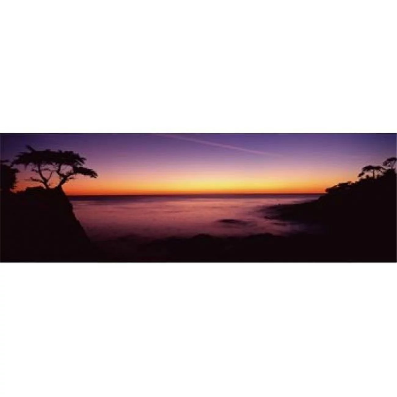 Panoramic Images  Silhouette of lone cypress tree on a cliff 17-Mile Drive Pebble Beach Carmel Monterey County California USA Poster Print by Panoramic Images - 36 x 12