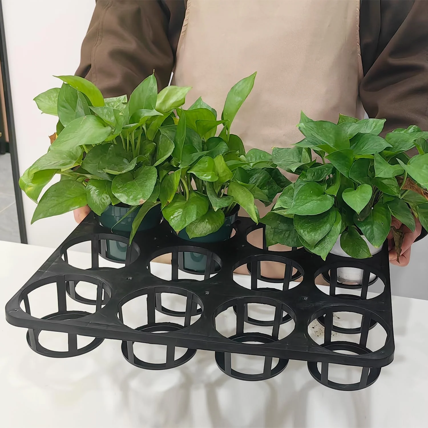 Namzi -a 12-Pocket Nursery Planter Pots Shuttle Carry Trays 5-Pack 4 inches Round Seedling Plastic Pots Butterfly Carrier