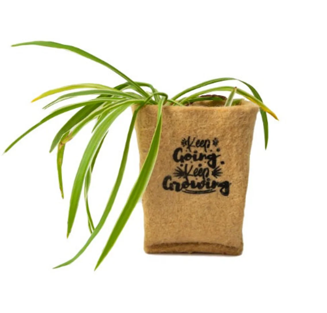 Eco Friendly D.I.Y Grow Kit - 5 Pc Set Jute Planter Set - Seed kit + Planter Pot - Sustainable Gift