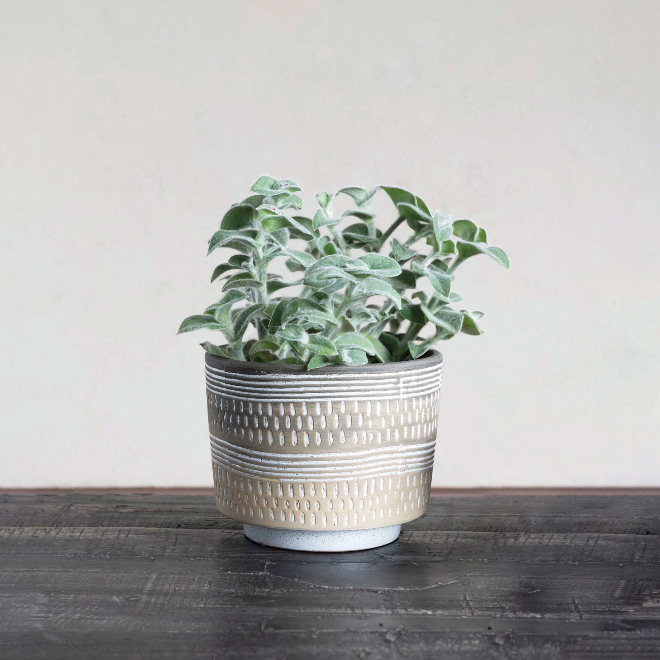 Creative Co-Op Debossed Stoneware Planter