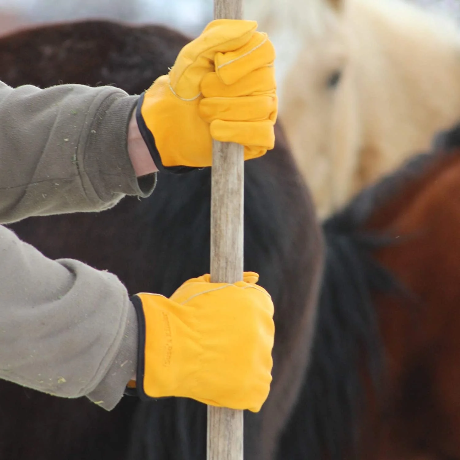 Work Gloves for Men and Women, Top Grain Leather (3 pairs, Med)