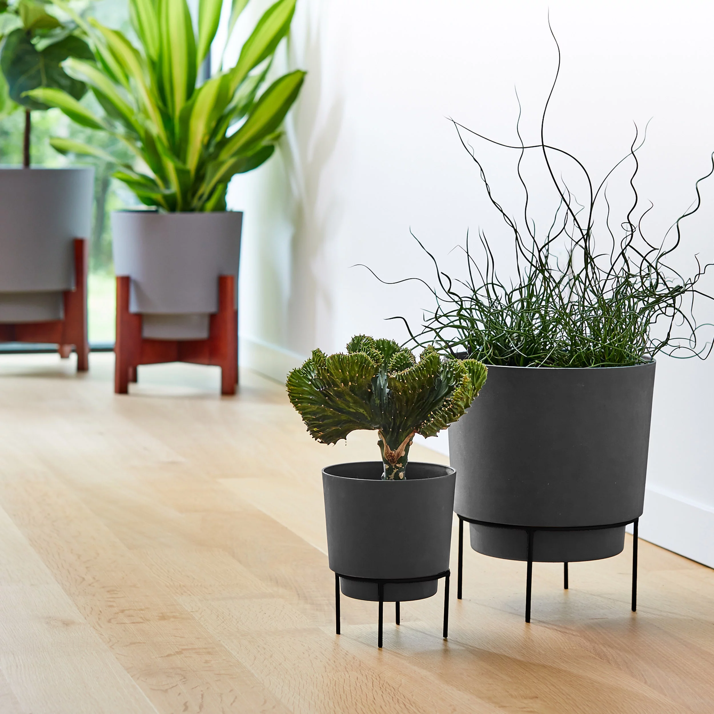 Bloem 6-in Hopson Modern Round Resin Planter with Black Metal Stand - Charcoal Gray