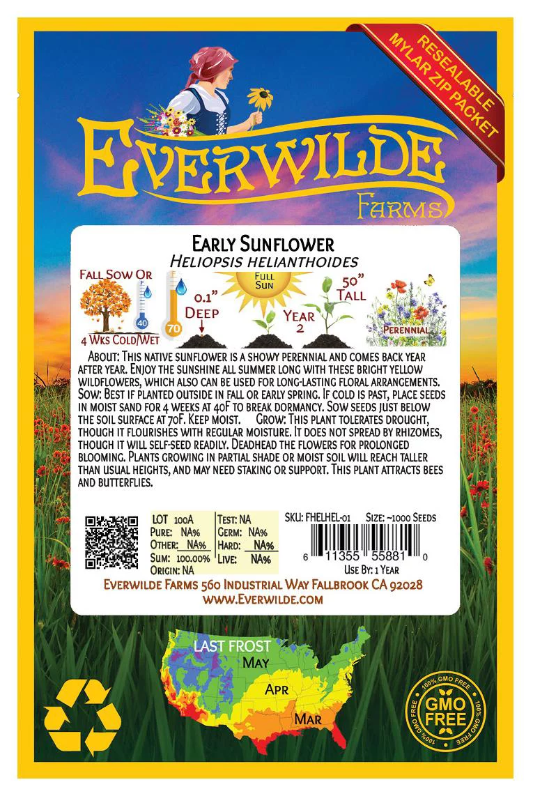 Everwilde Farms - 1000 Early Sunflower Native Wildflower Seeds - Gold Vault Jumbo Bulk Seed Packet