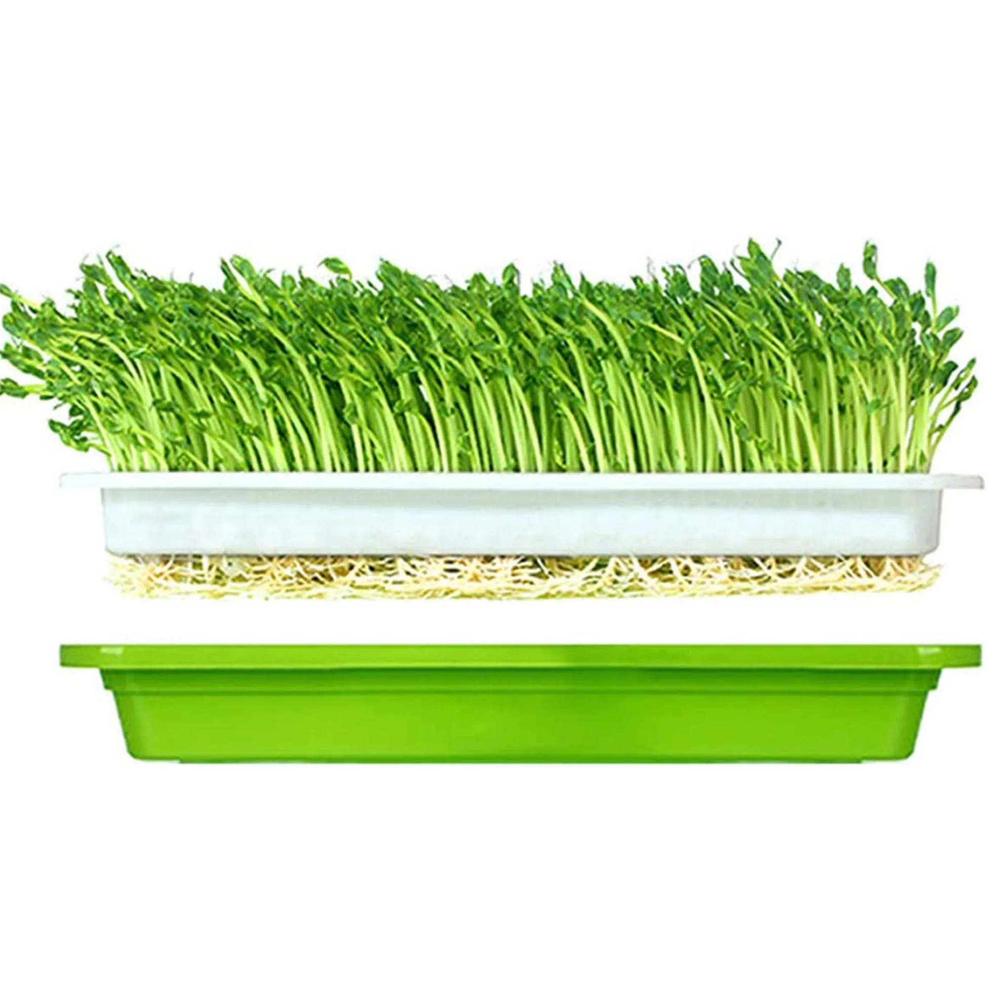 Aunavey Seed Sprouter Tray 10*Nursery Papers PP Plastic Soil-Free Big Capacity Wheatgrass Grass Grow Box