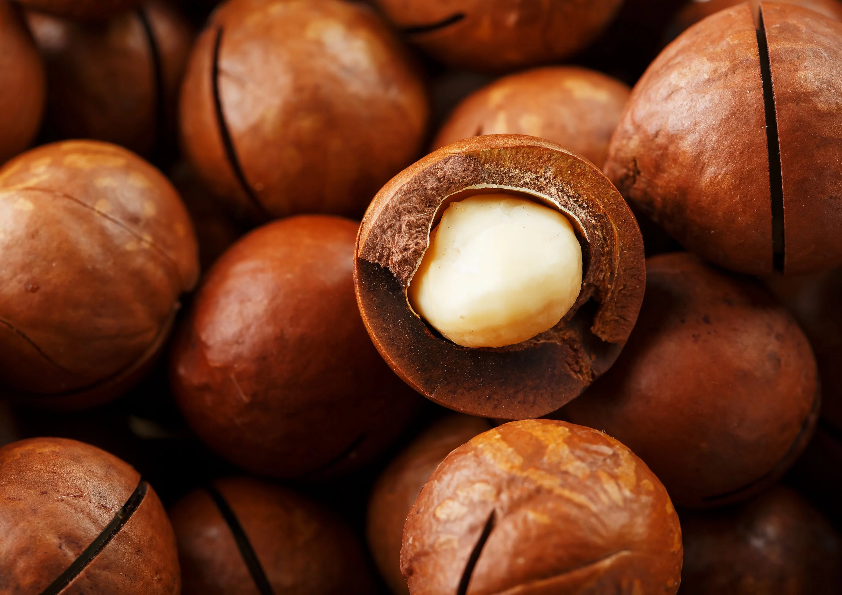 Dry Roasted Macadamia Nuts with Himalayan Salt, 2 Pounds — Vegan — by Food to Live