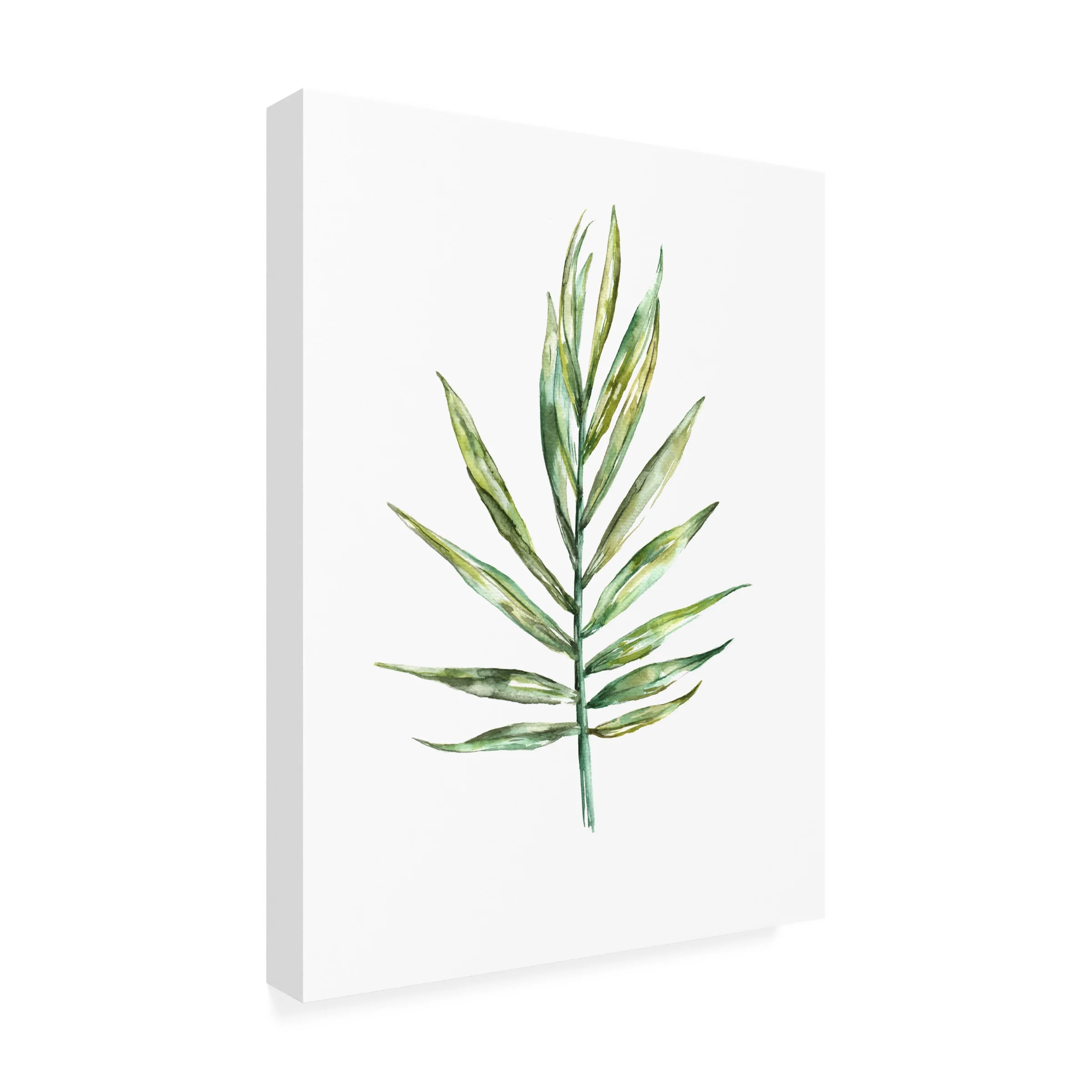 Kokoma 'Areca palm leaf' Canvas Art