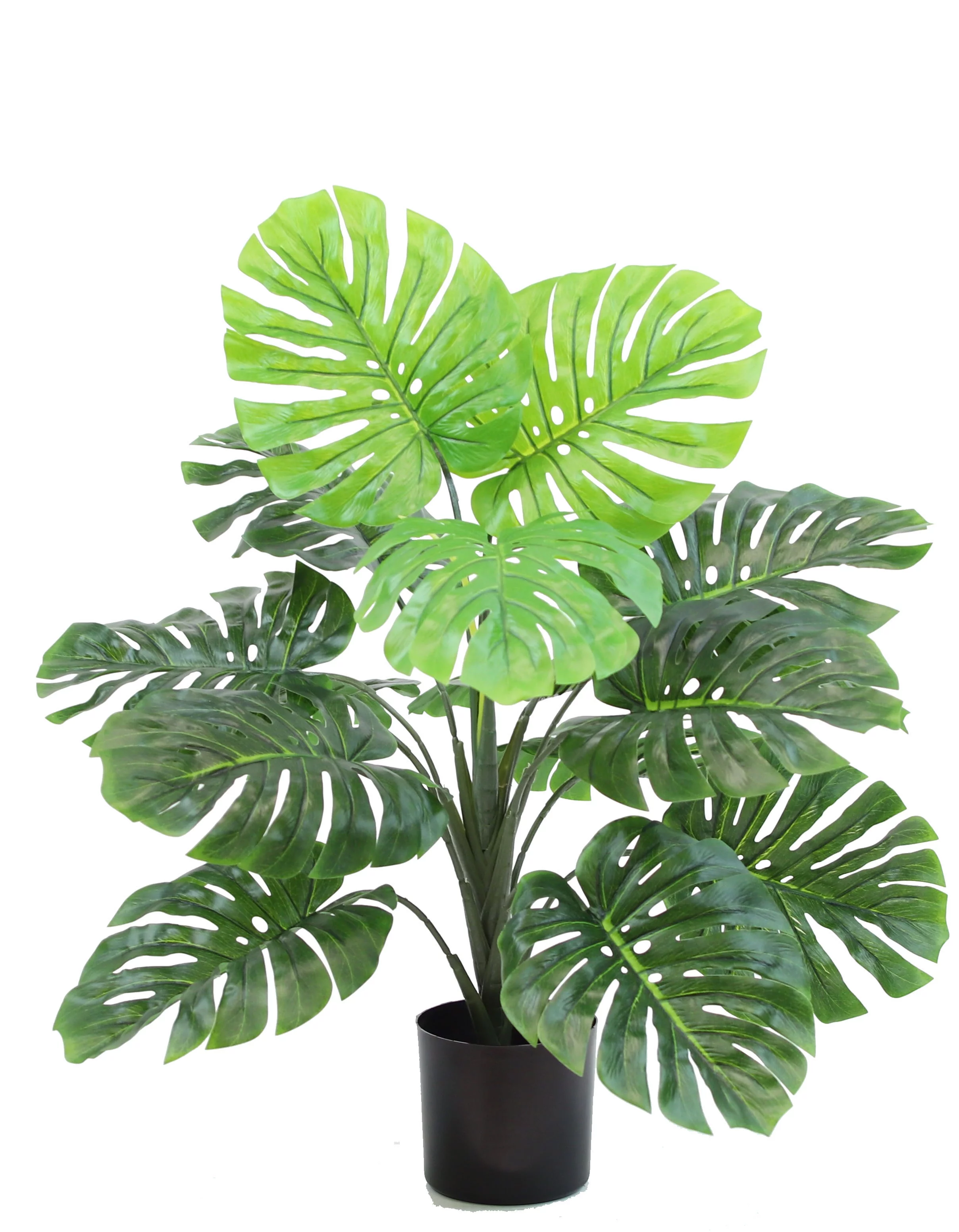 The Mod Greenhouse 27