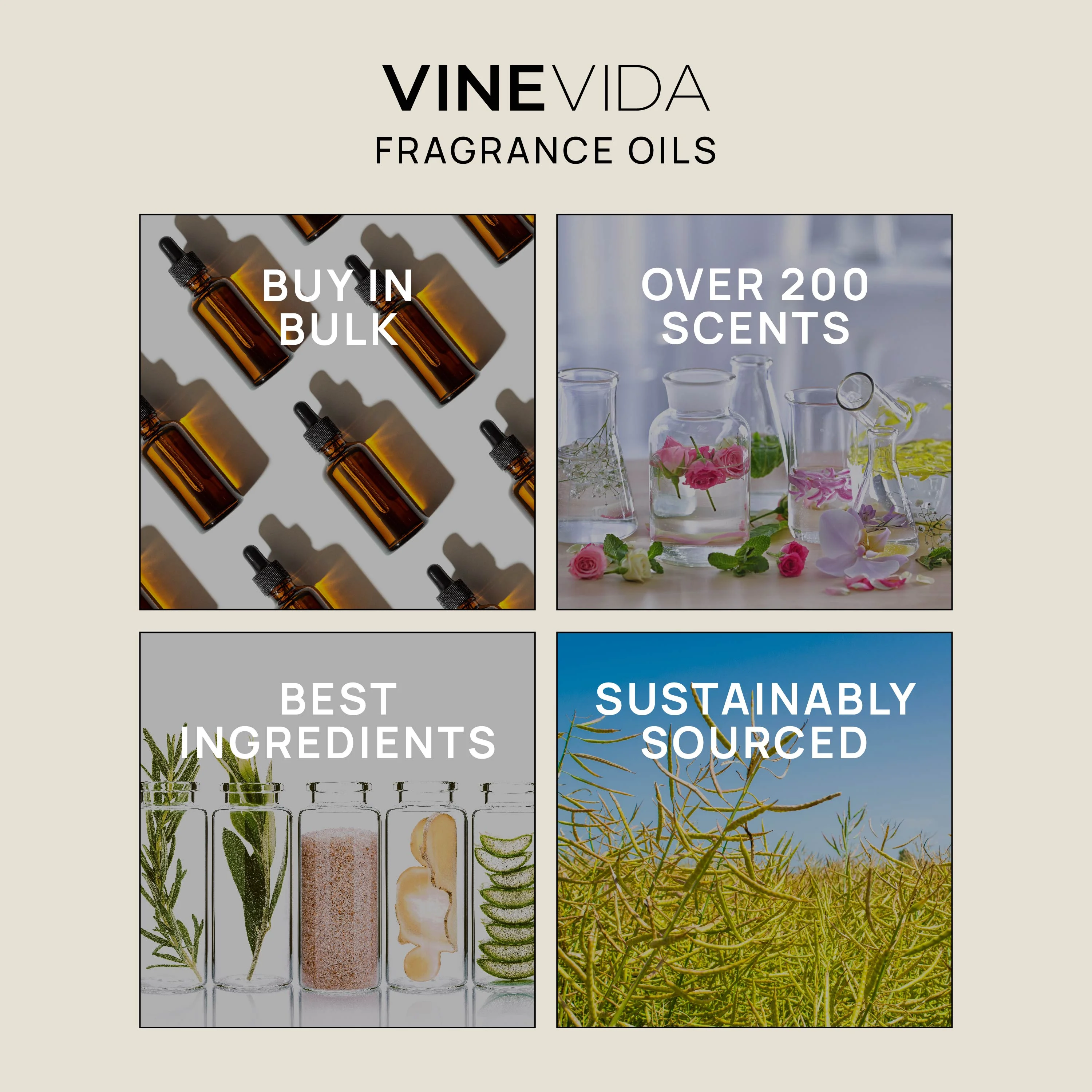 VINEVIDA Scent NO. 1112, Inspired By: Eucalyptus Spearmint Fragrance Oil, 4 Fl Oz