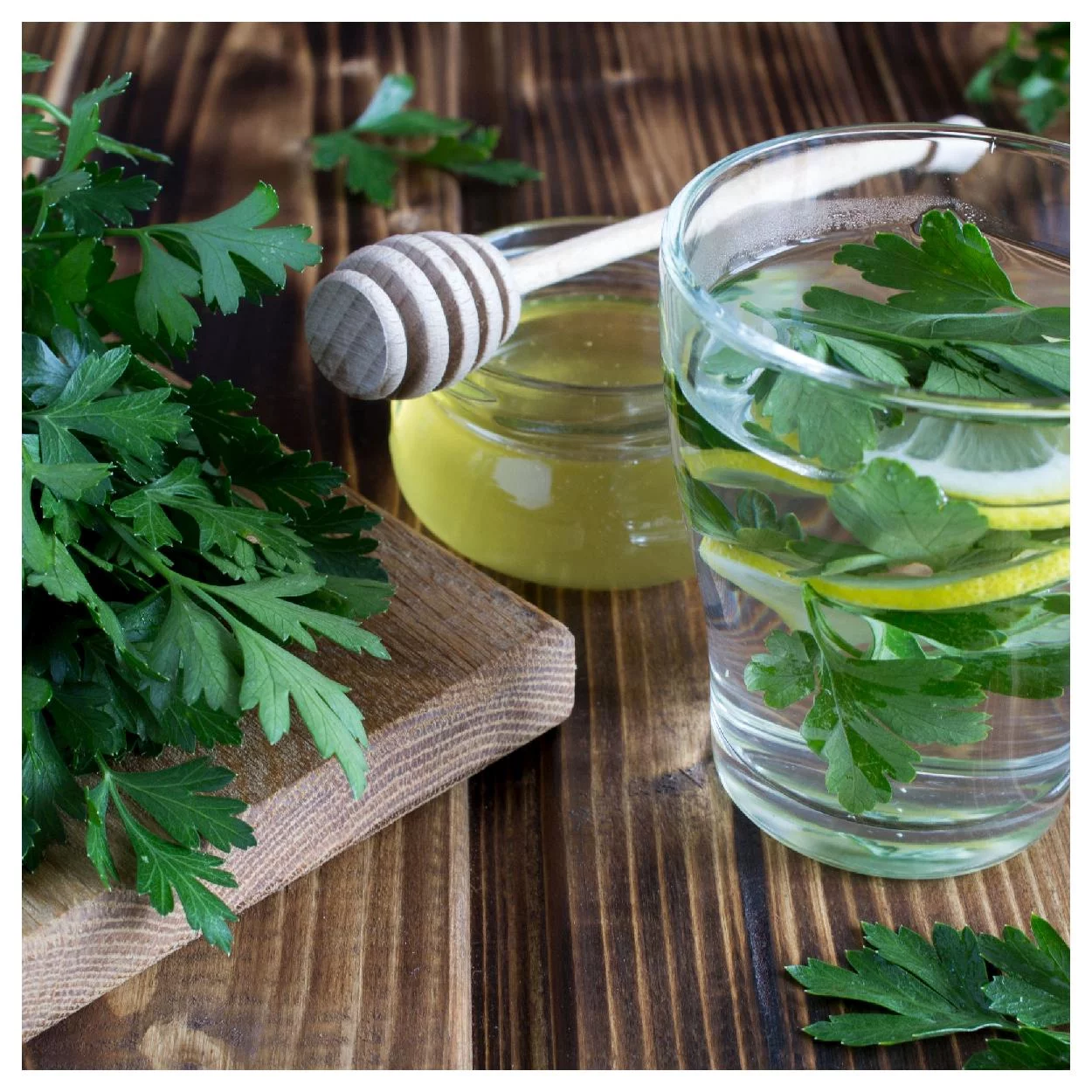 Everwilde Farms - 1000 Plain Single Parsley Seeds - Gold Vault Jumbo Bulk Seed Packet