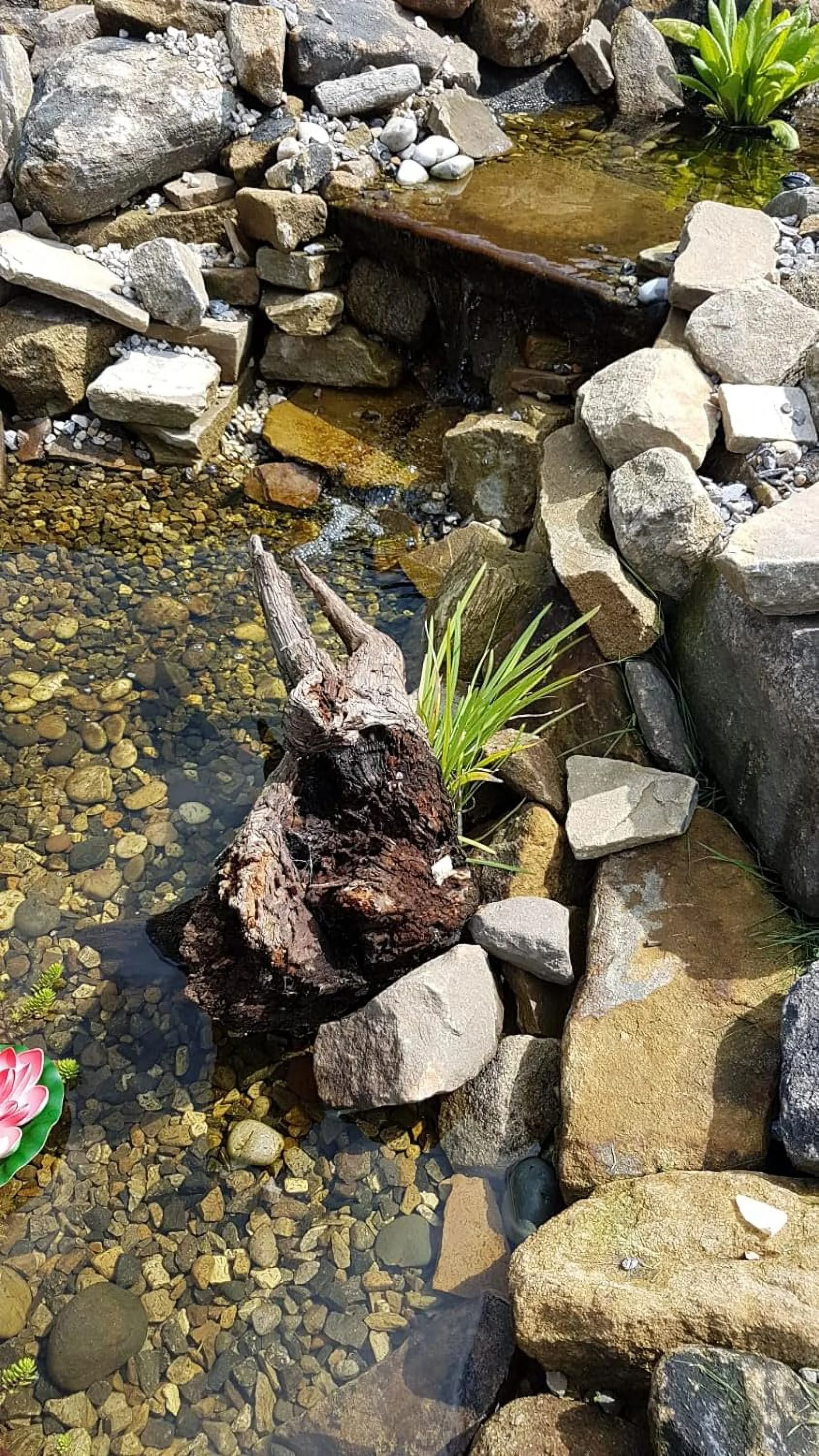 Square Koi Pond Plastic Mesh Plant Basket 13 Inch (34Cm), For Large Aquatic Pond Plants, Plastic Water Garden Plant Pots For Aquaponics, Slotted Mesh