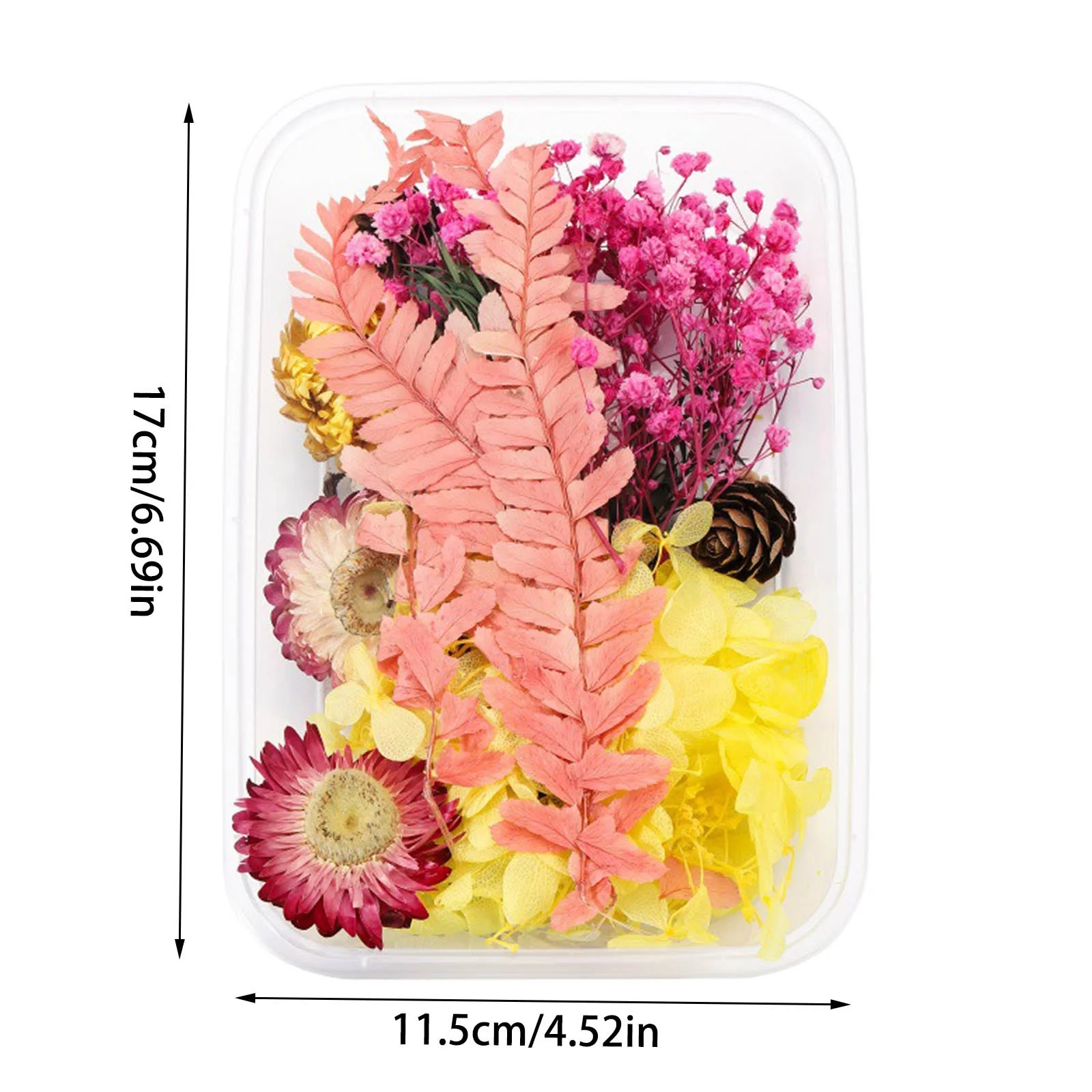 HALJEN Artificial Flowers for Decoration Wall Hanging 1 Box Real Dried Flower Resin Fil Expoxy Flower for Epoxy Resin Jewelry Making Craft Diy Supplies Accessories (Forget Me Not)
