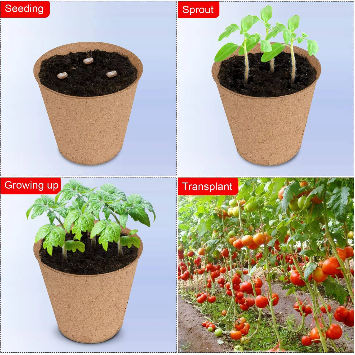 NAMZI 50 Pcs Thickened Peat Pots, 3.15 inches Biodegradable Eco-Friendly Plant Seedling Starters Kit, Seed Germination Trays