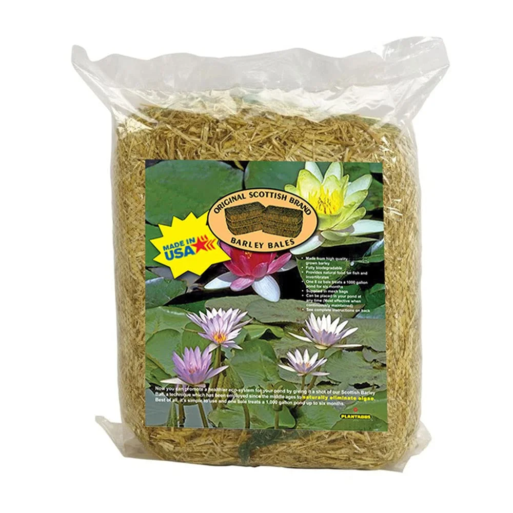 Clear-Water Barley Straw Bales, Pond logs 8oz Treats 1000 gallons for 6 Months (1-Pack)