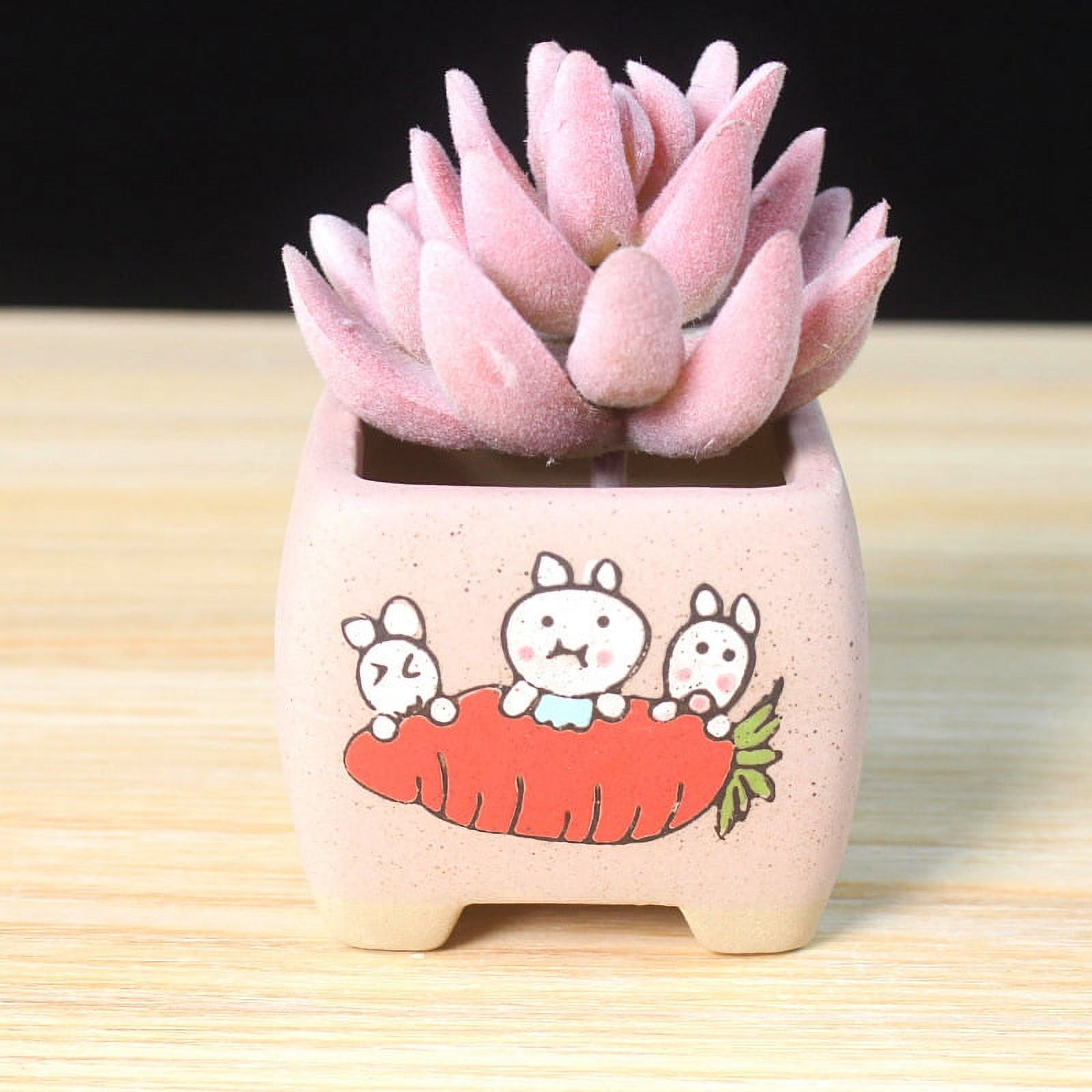 LivNxt Hand-Painted Cartoon Ceramic Succulent Planter - Succulent Plant Pot Nursery Pot Ceramic Planter Desktop Potted Plant