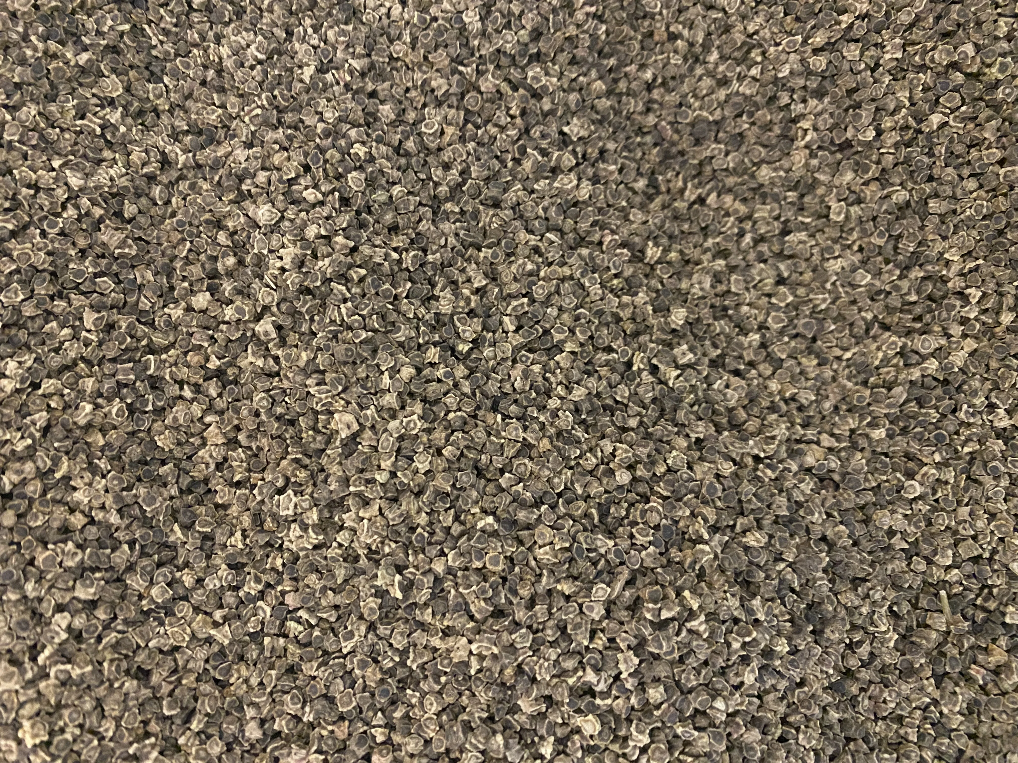 Browning Seed Beet Detroit Dark Red, Packet