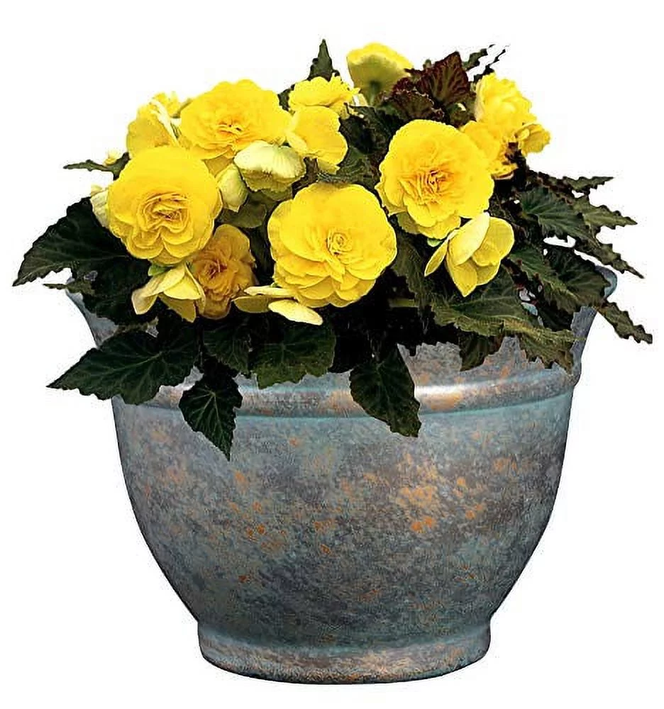 9 In. Weathered Copper Alena Resin Planter