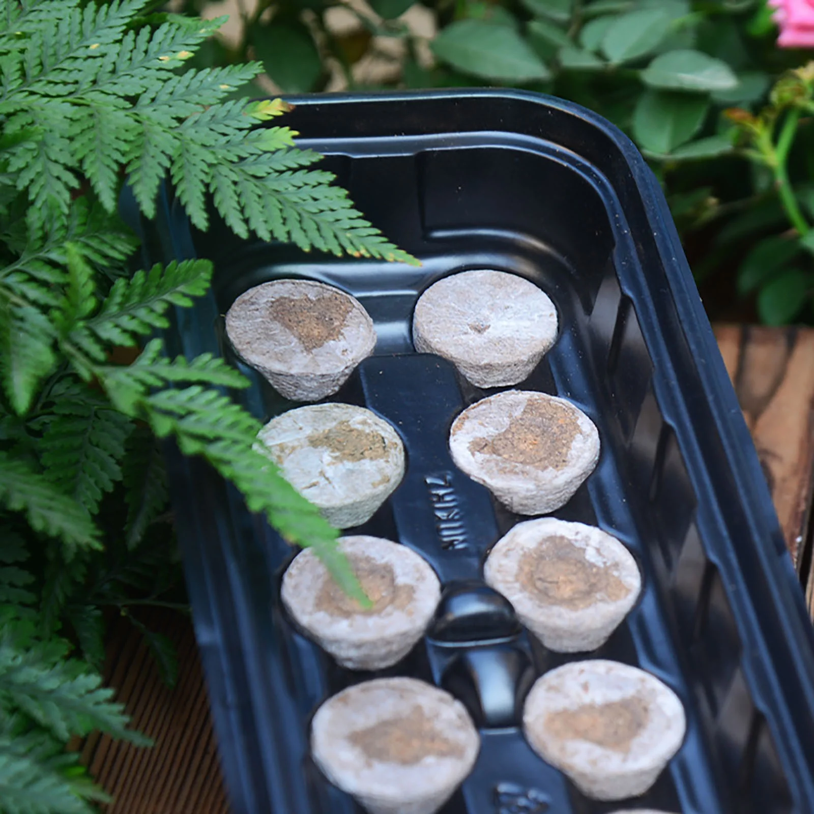 LLQkigsxse Grass Fall Long Sowing Seedling Tray With 12 Gr id Seedling Block Gardening Box Womens Birthday Gifts