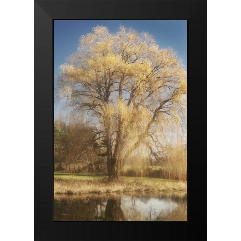 Vitaly, Geyman 11x14 Black Modern Framed Museum Art Print Titled - Willow Magic I