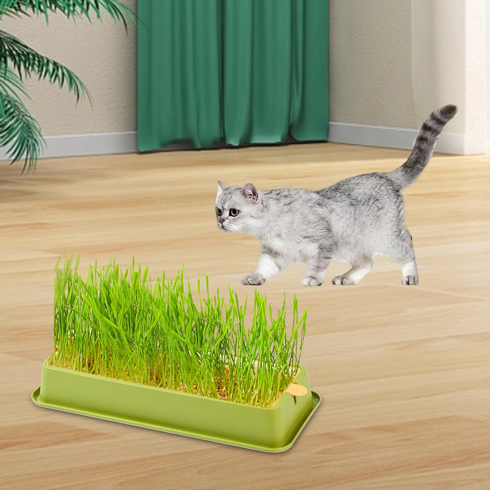 Hydroponic Cat Grass Box Seed Sprouter Tray for Seedling Planting Greenhouse Green