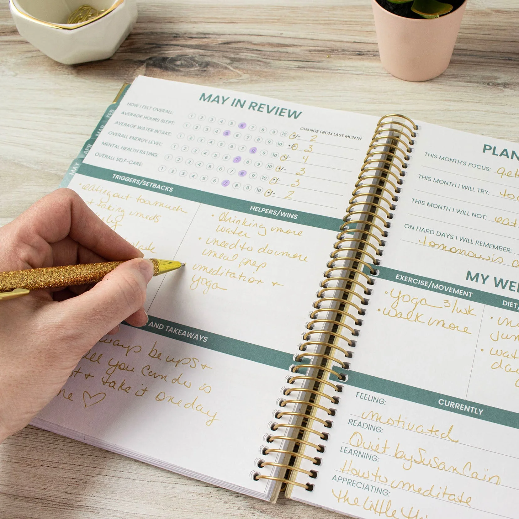 bloom daily planners Chronic Illness Planner, You Are Stronger Than You Think