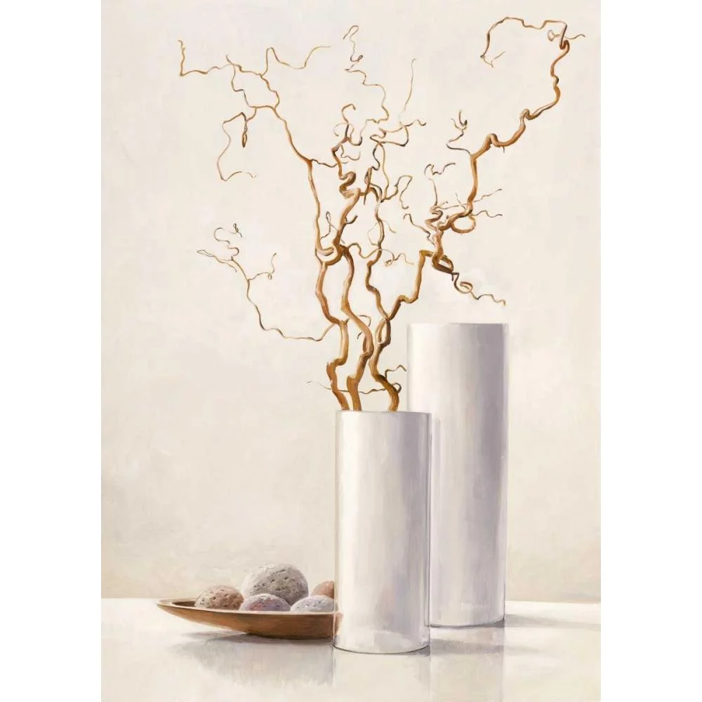 van der Valk, Karin 11x14 Black Modern Framed Museum Art Print Titled - Willow Twigs II