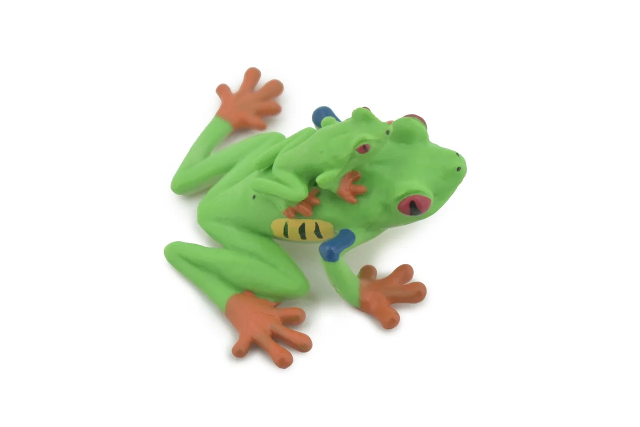 Frog, Red Eyed Tree Frog, with Baby, Museum Quality, Rubber, Amphibian, Hand Painted, Realistic Toy Figure, Model, Kids, Educational, Gift, 2 1/2