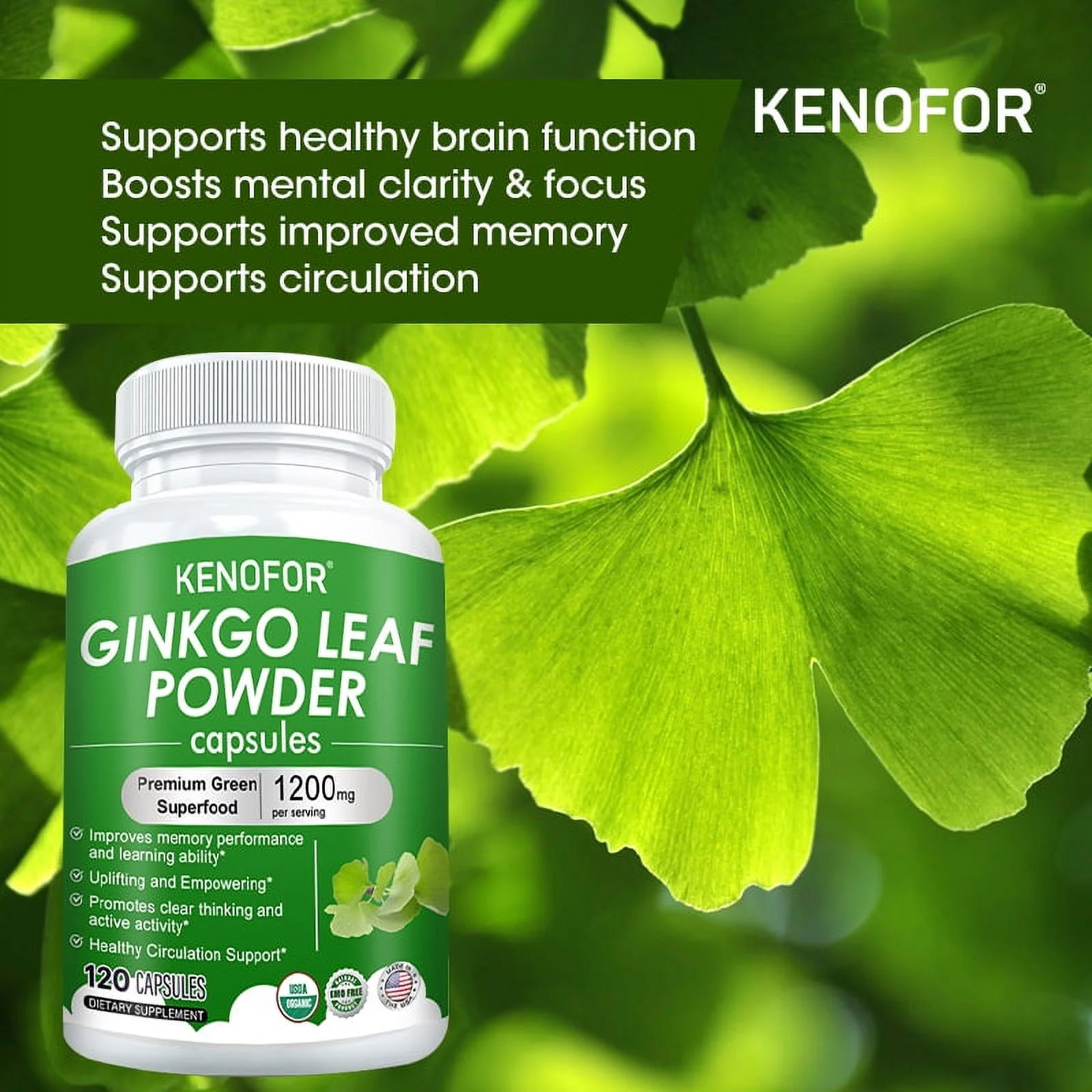 Ginkgo Biloba 120mg, 30/60/120 Capsules - Memory Support Supplement, Supports Brain Function and Mental Alertness - Gluten Free & Non-GMO,