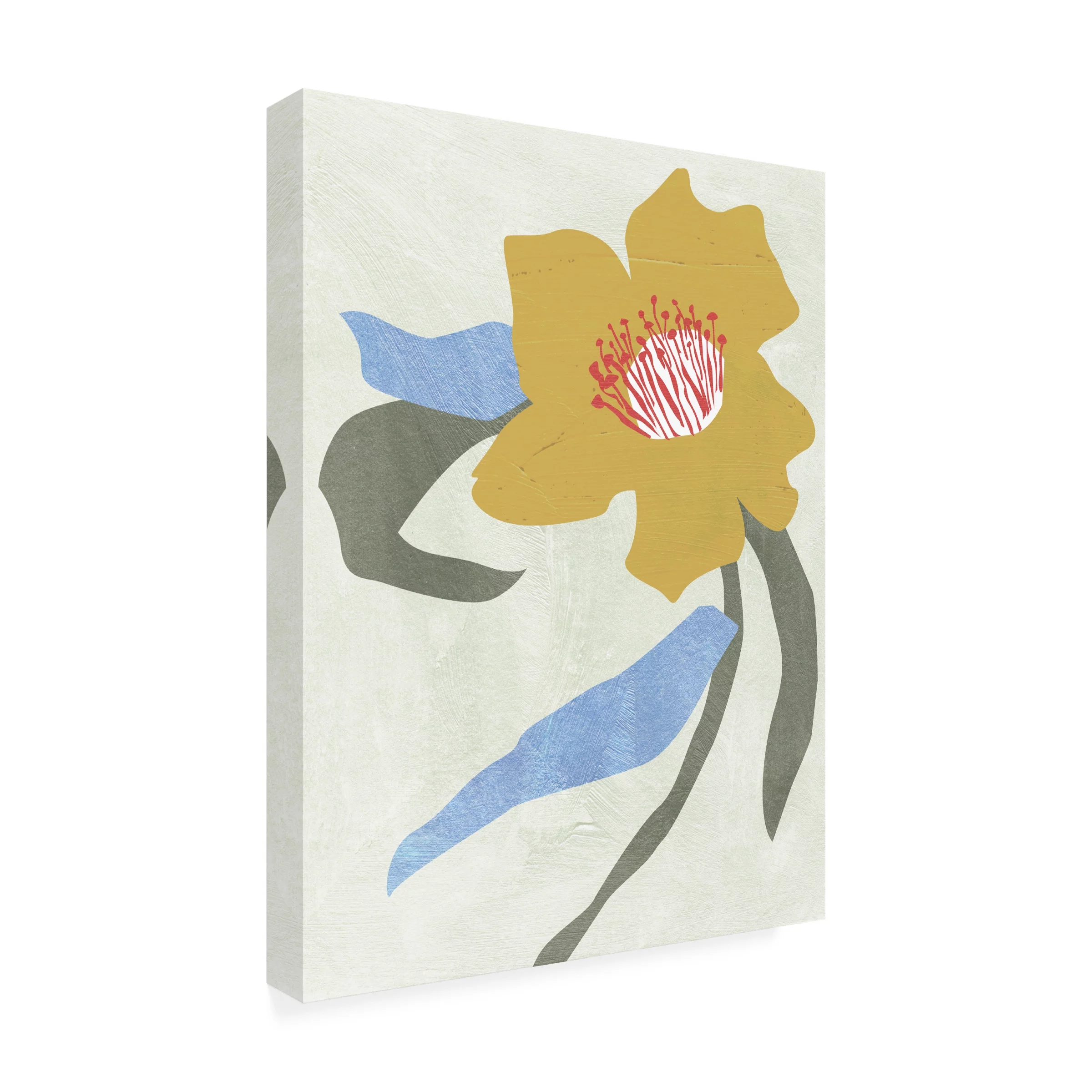 Melissa Wang 'Lenten Rose II' Canvas Art
