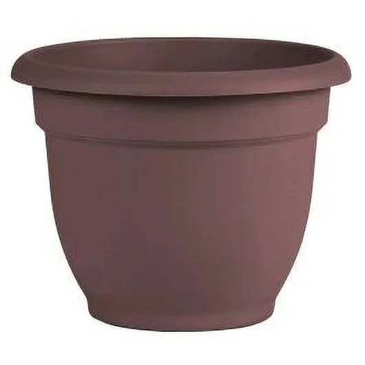3PC Bloem Bloem AP0657 6 Inch Merlot Ariana Planter