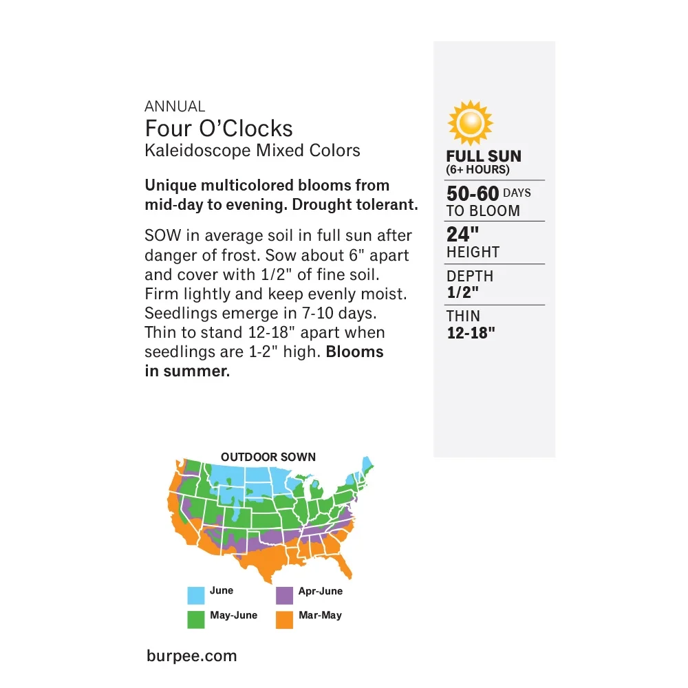 Burpee Kaleidoscope Mixed Colors Four O'Clocks Flower Seed, 1-Pack