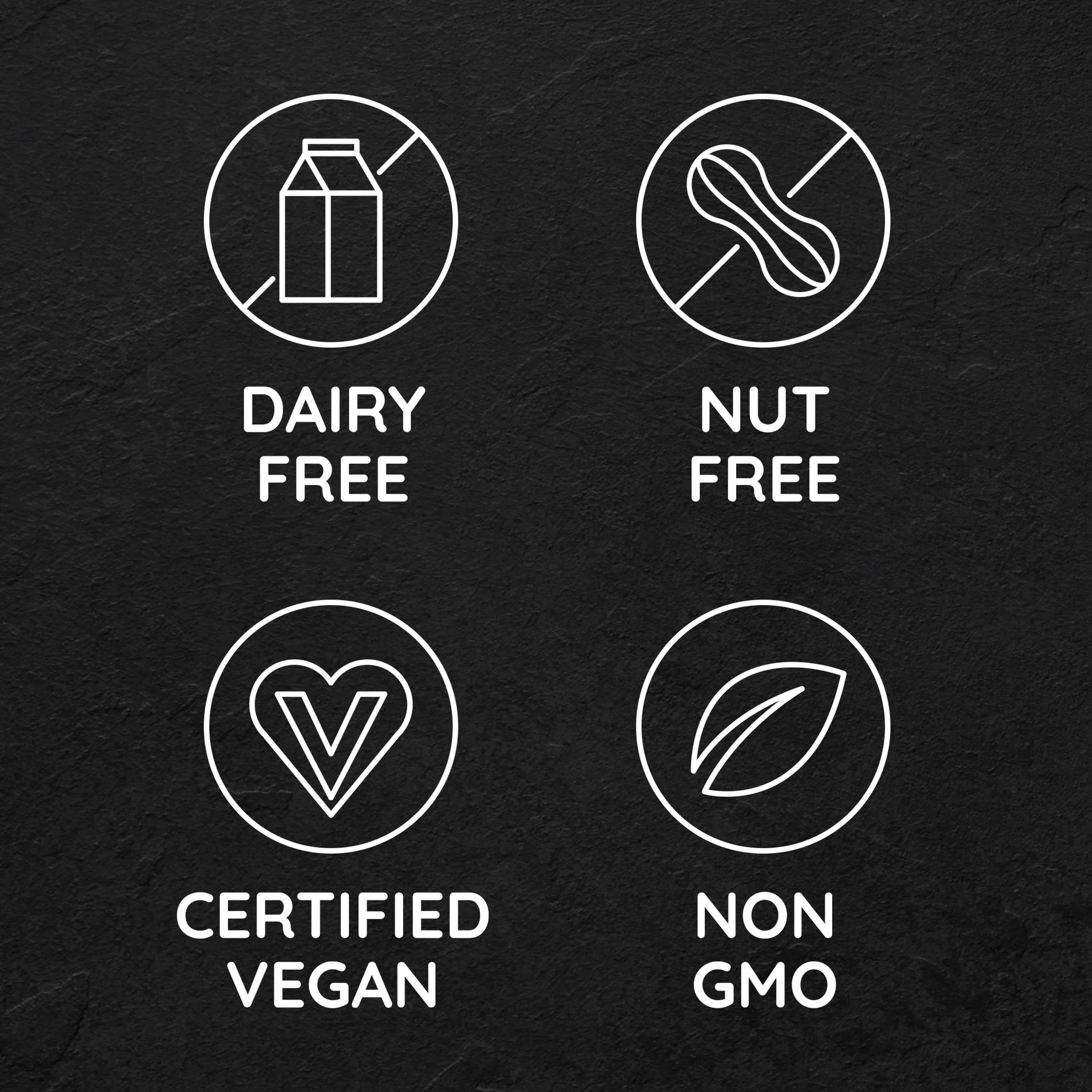 So Delicious Vegan, Non Dairy Blueberry Coconut Milk Yogurt Alternative, 5.3 oz Container