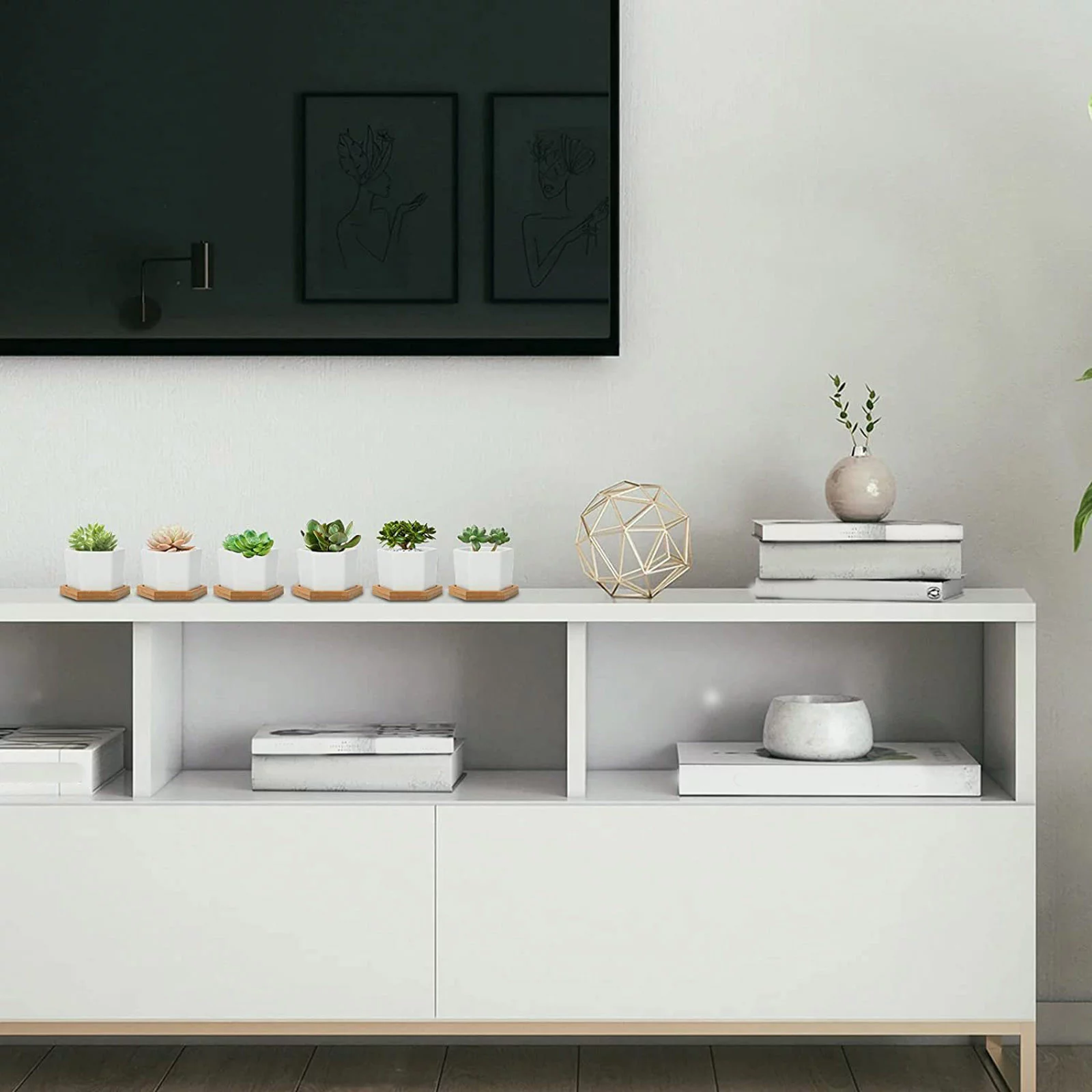 YHAIOGS Succulent Pots White Mini Ceramic Flower Planter Pot with Tray Plants Not included