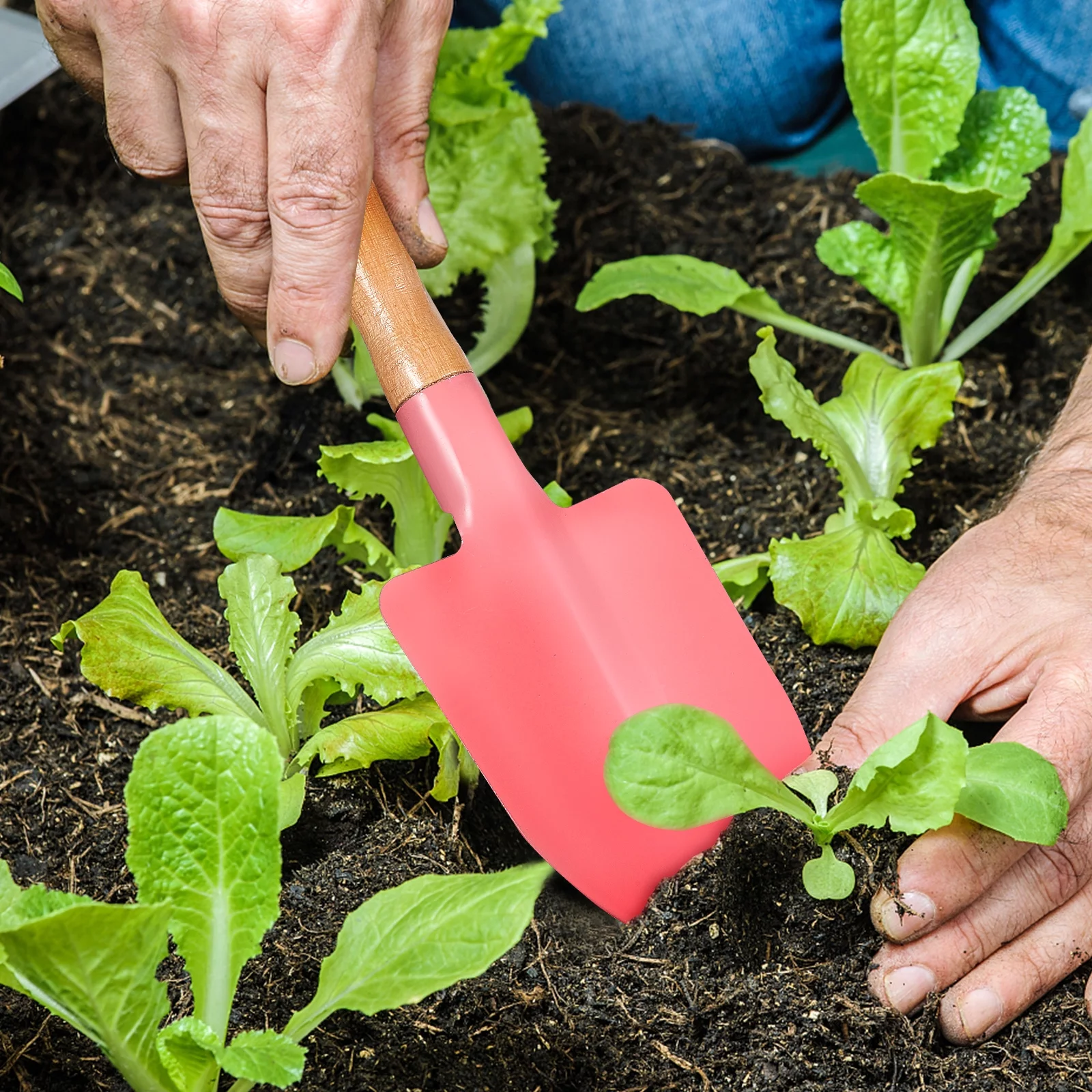 Shovel Trowel Rake Garden Tools Small Gardening Kit Terrarium Scoop Tiny Soil Mini Child