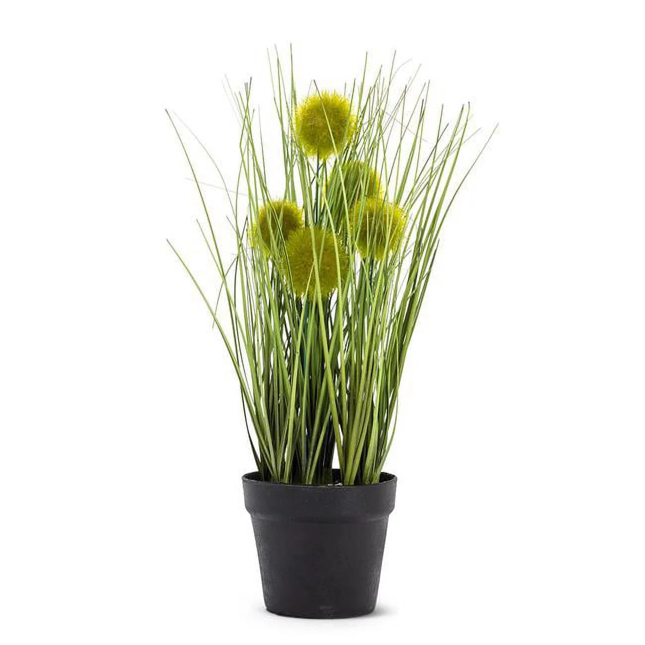 Abbott Collection AB-27-SAVANNAH-001 12 in. Pompom Grass in Pot, Green