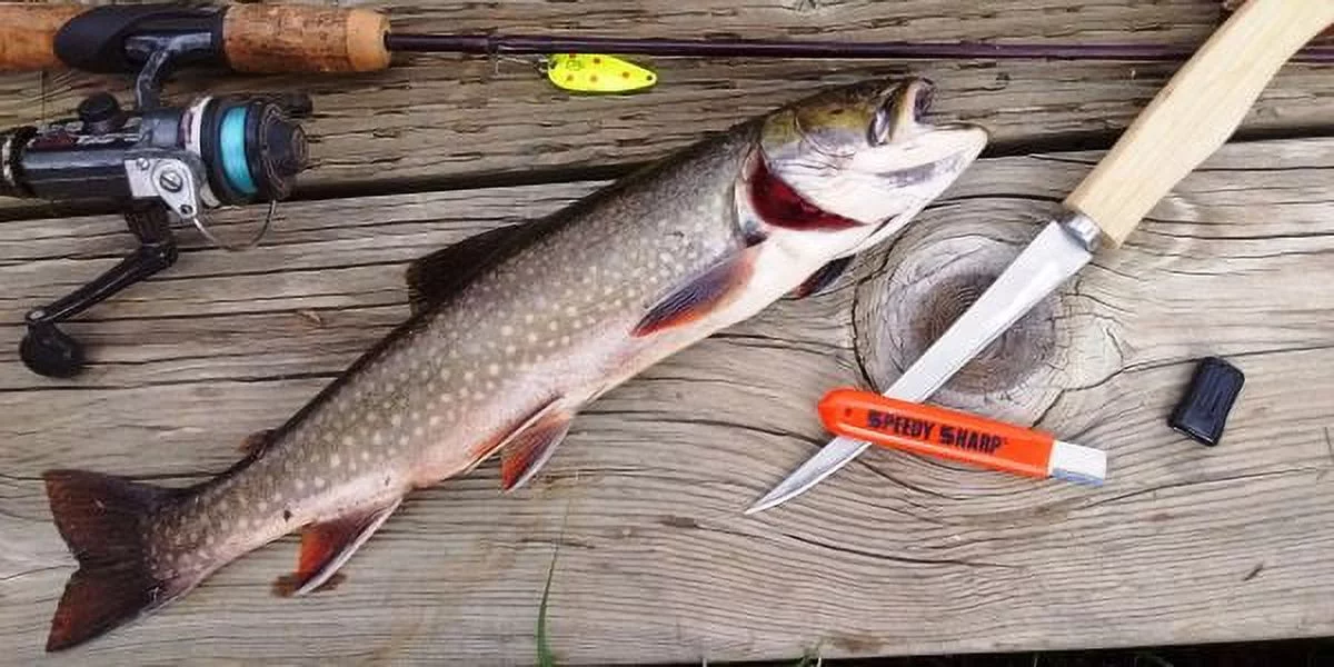 Speedy Sharp Knife Sharpener (Neon Green)