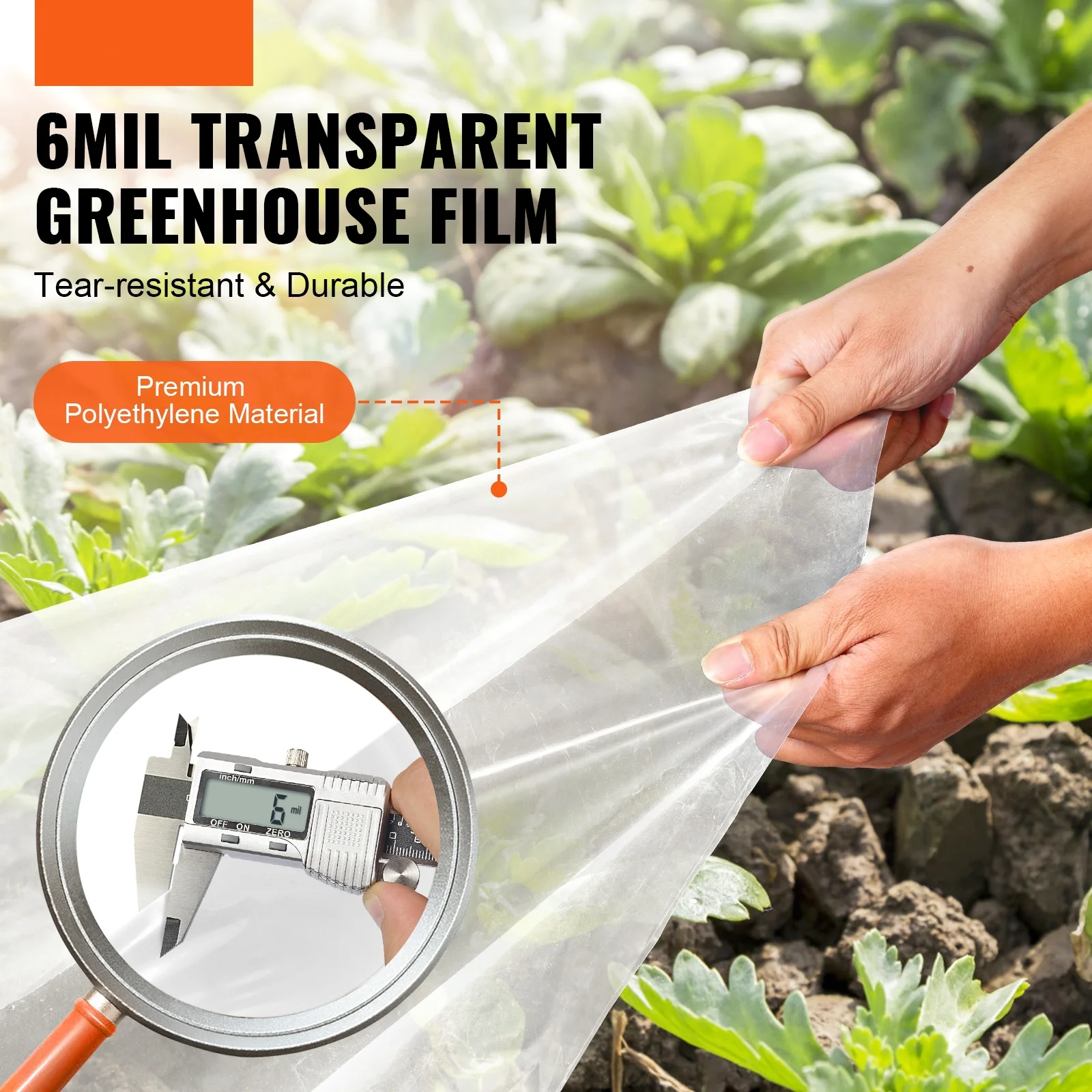 BENTISM Greenhouse Plastic Sheeting 10 x 40 ft 6Mil Clear Polyethylene Film