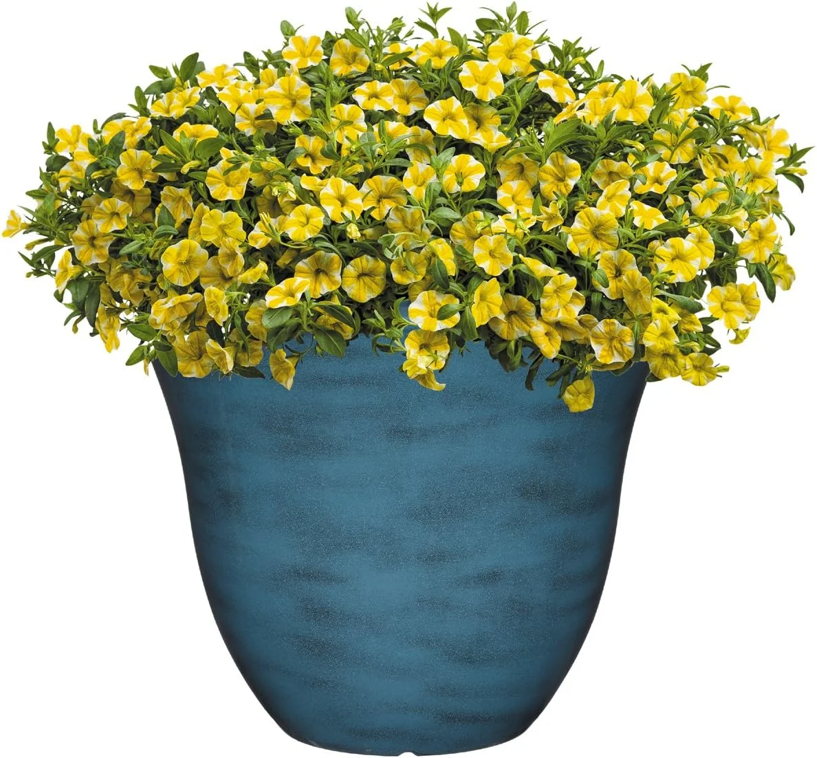 Honeysuckle Resin Flower Planter, Blue Jean, 15