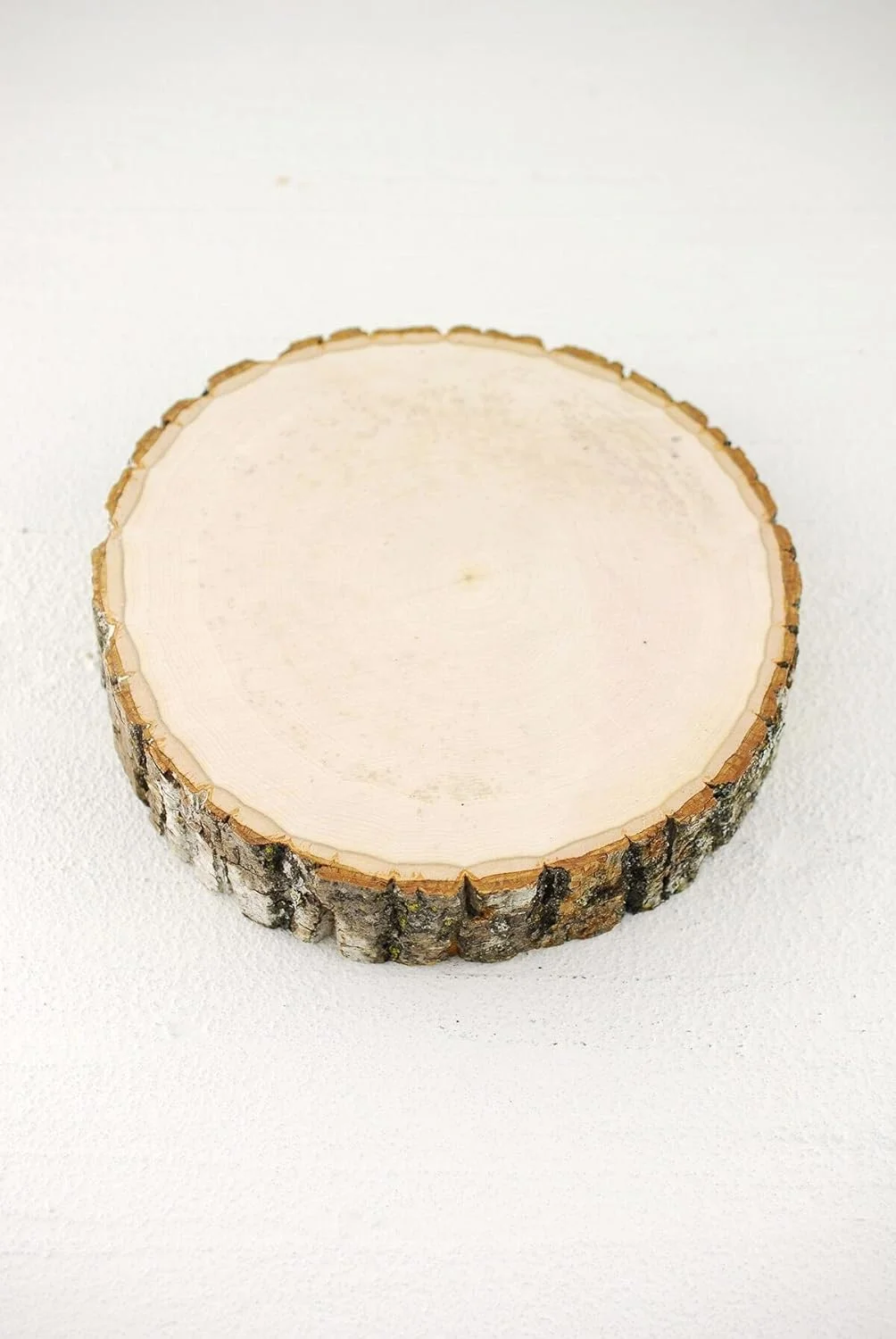 Basswood Tree Wood Slice With 8