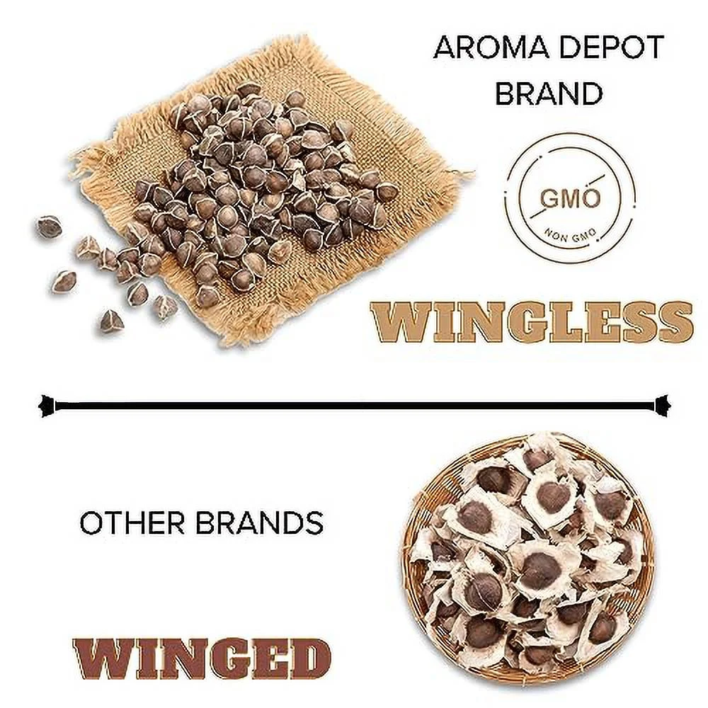 Moringa Seeds 5 lb. (Approx. 8000) WINGLESS Sun-Dried, PKM1, 100% Natural, Superfood, Nutritional, Rich in Vitamins Edible Seeds, Malunggay, Semillas De Moringa oleifera Seeds- Drumstick.